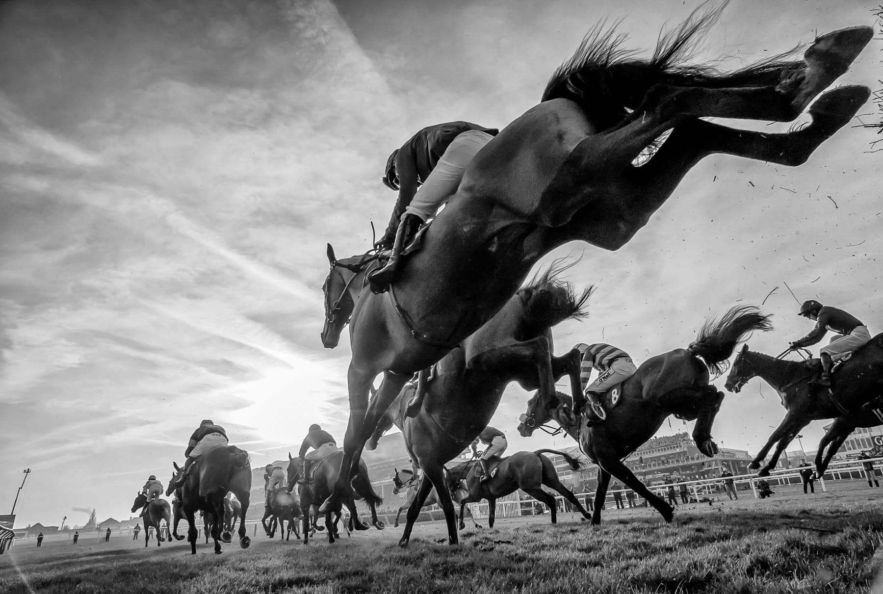 Cheltenham 2014 — Racing photograph by Sharon Lee Chapman