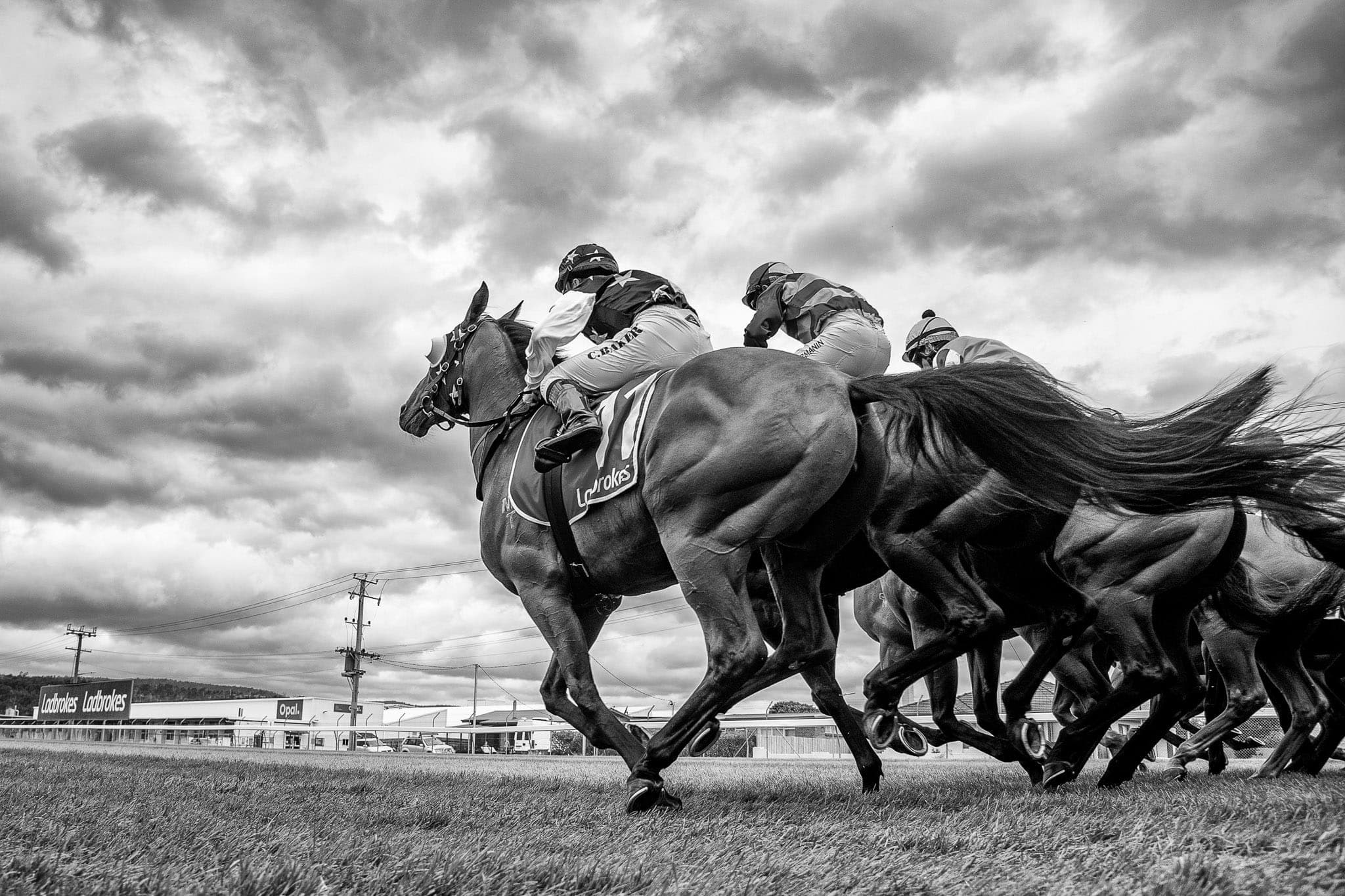 Launceston — Racing photograph by Sharon Lee Chapman