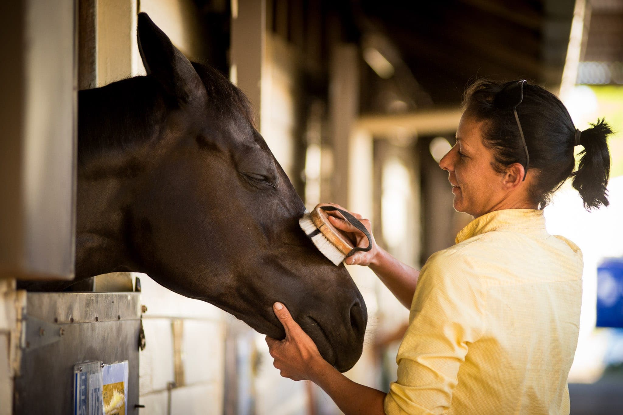 Inglis — Sales photograph by Sharon Lee Chapman