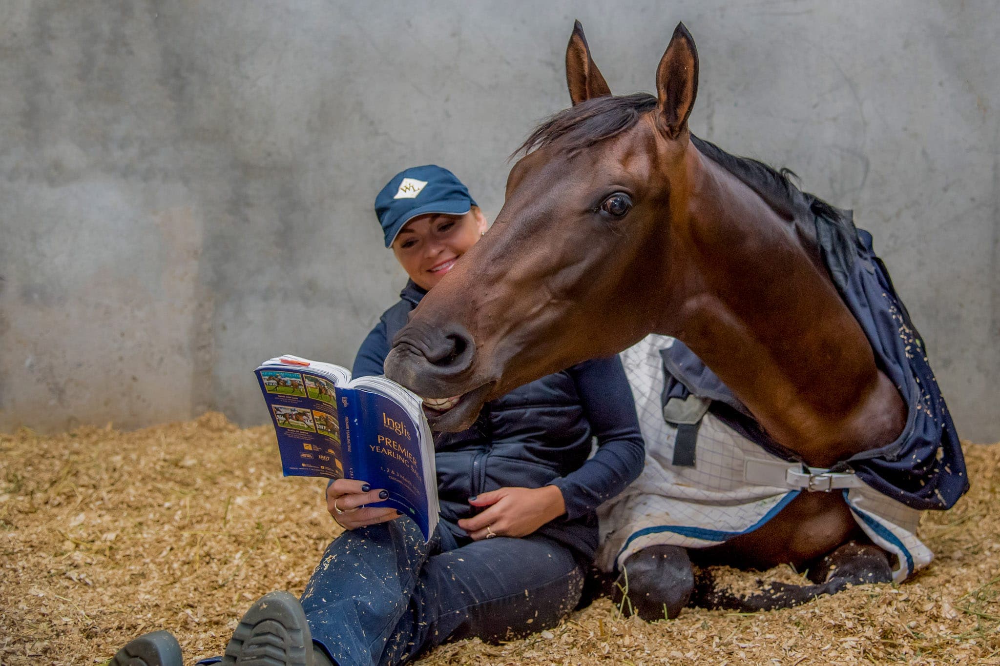 Inglis — Sales photograph by Sharon Lee Chapman