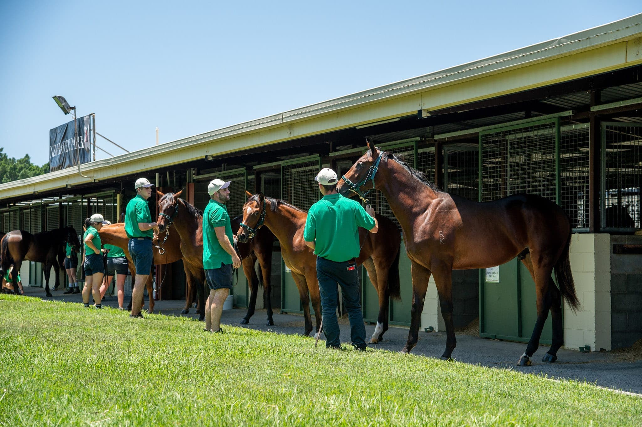 Inspections, MM — Sales photograph by Sharon Lee Chapman