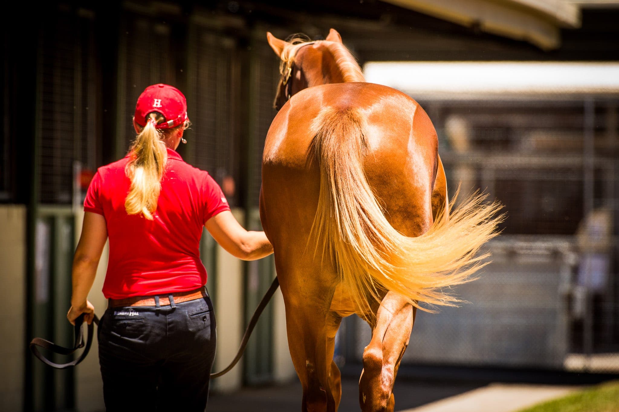 Inspections, MM — Sales photograph by Sharon Lee Chapman