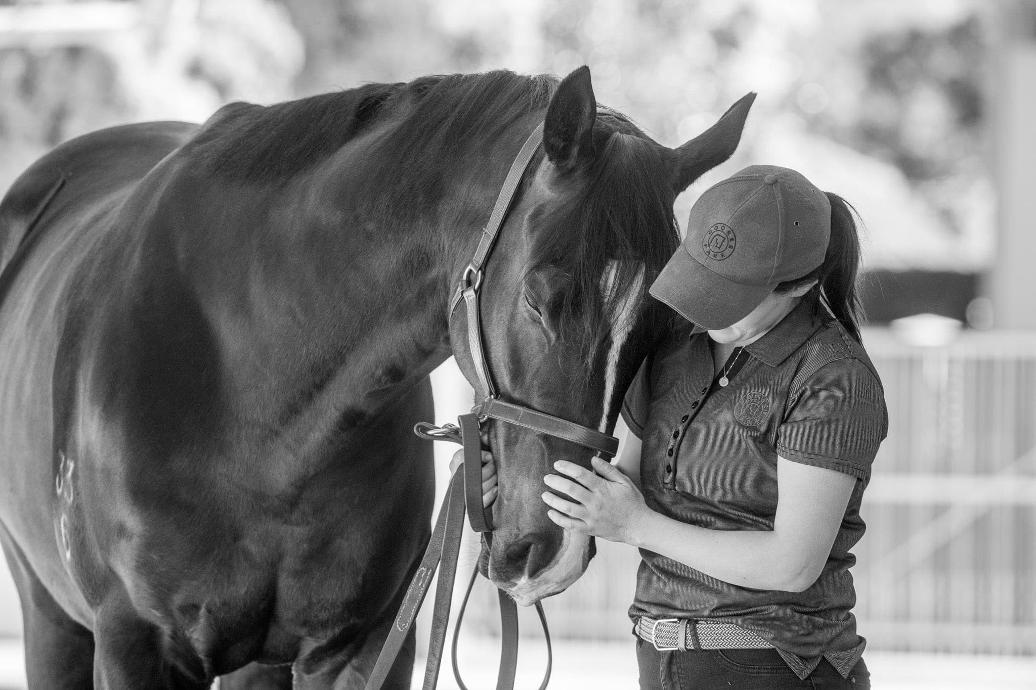 Inspections, MM — Sales photograph by Sharon Lee Chapman