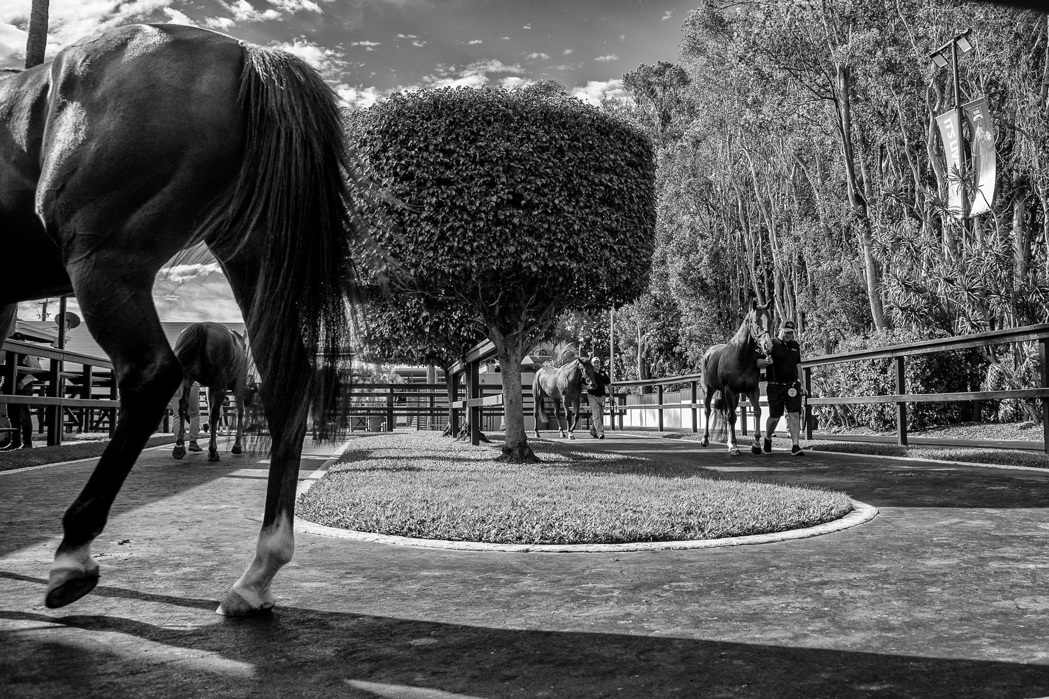 Sales, MM — Sales photograph by Sharon Lee Chapman