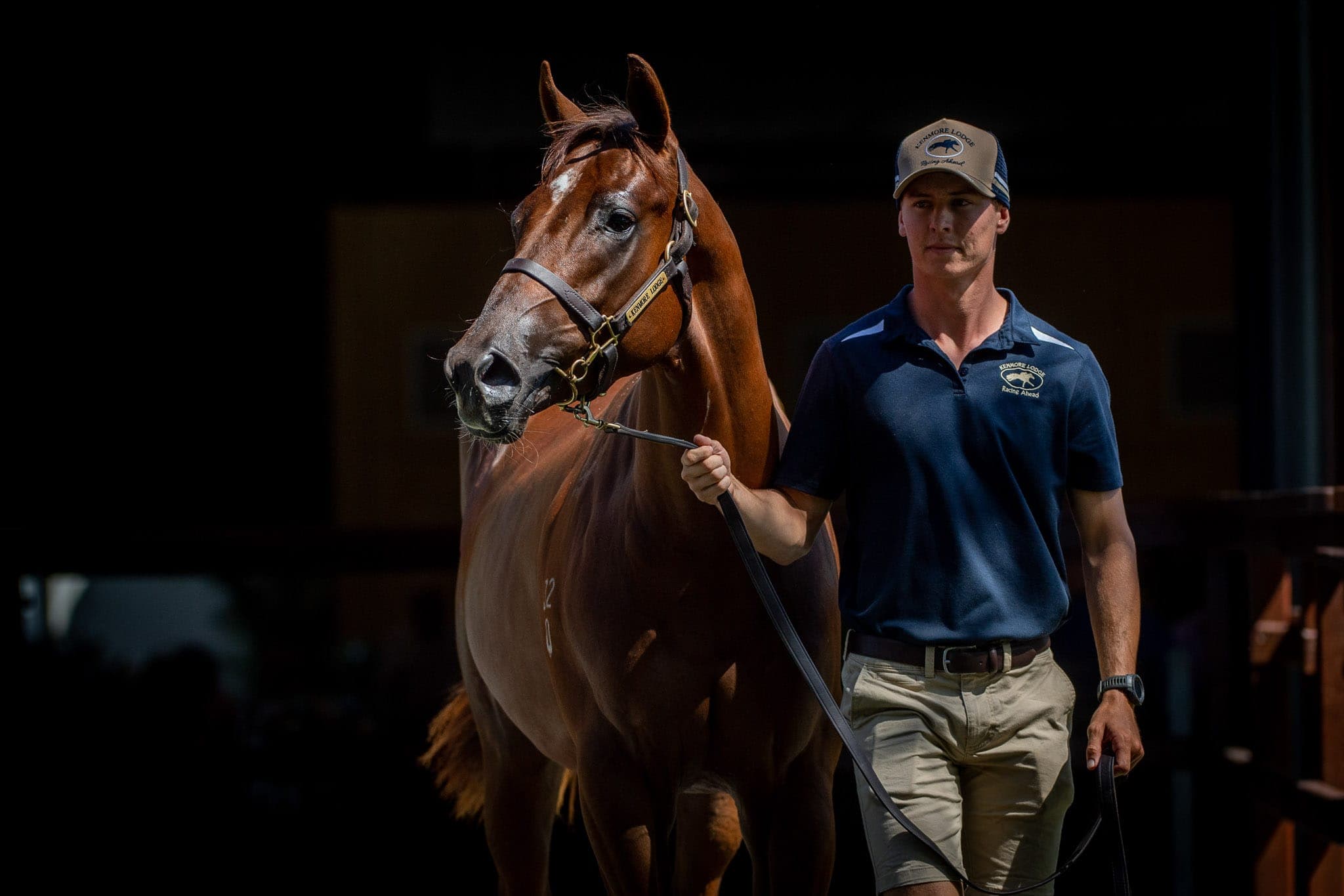 Lot 12 Rothesay x Charmana Star — Sales photograph by Sharon Lee Chapman