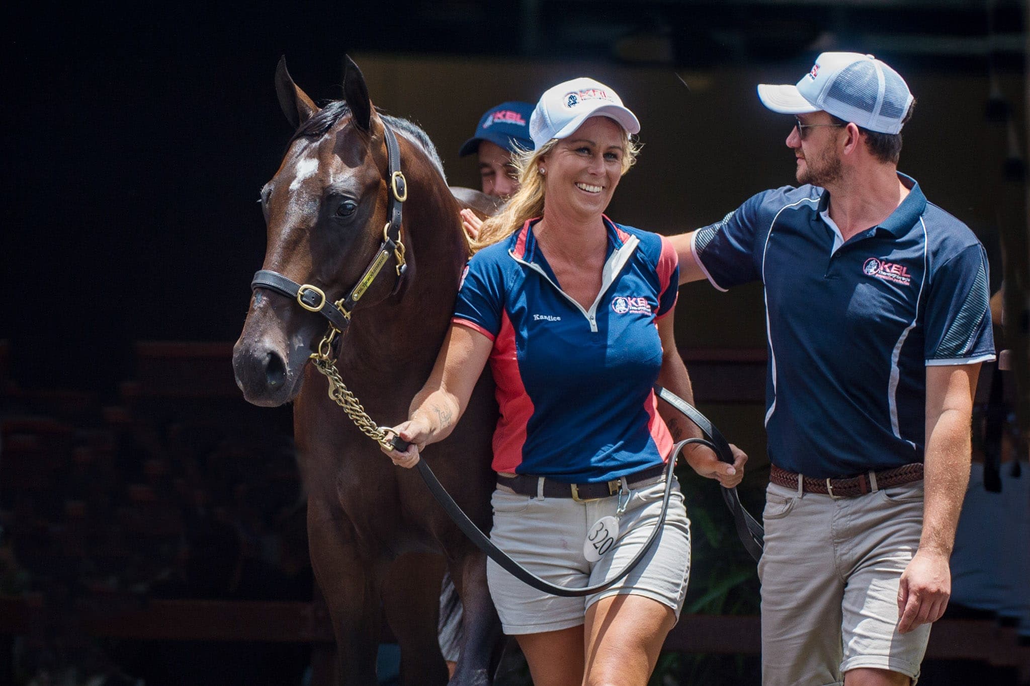 Lot 320 Zoustar x Acouplamas — Sales photograph by Sharon Lee Chapman
