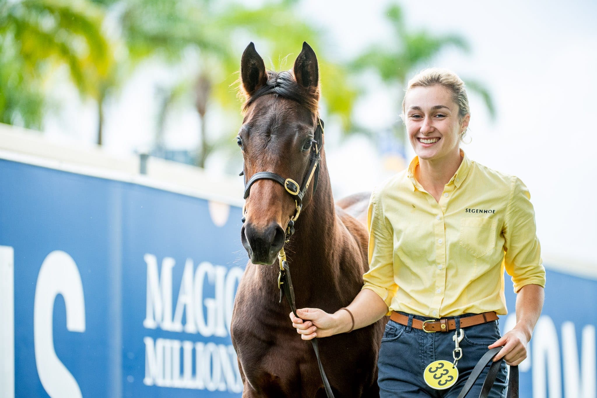 Lot 333, Zoustar x Member's Joy — Sales photograph by Sharon Lee Chapman