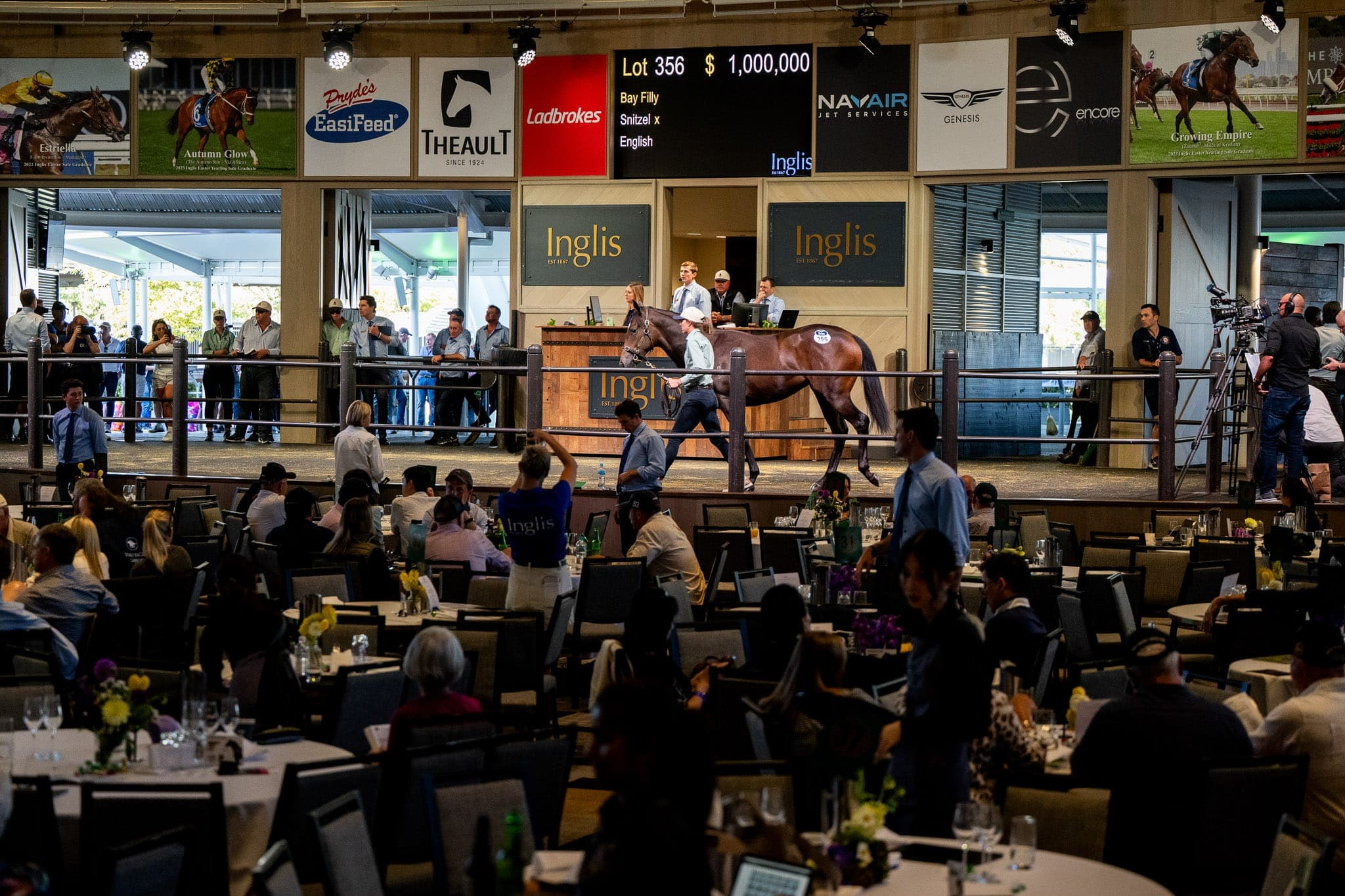 Lot 356, Snitzel x English — Sales photograph by Sharon Lee Chapman