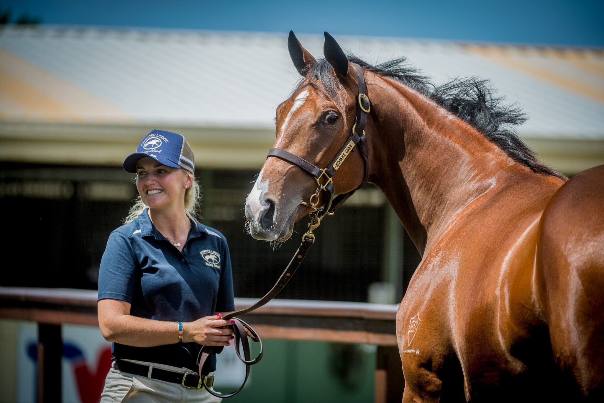 Lot 383, Spill The Beans x Al Nova — Sales photograph by Sharon Lee Chapman