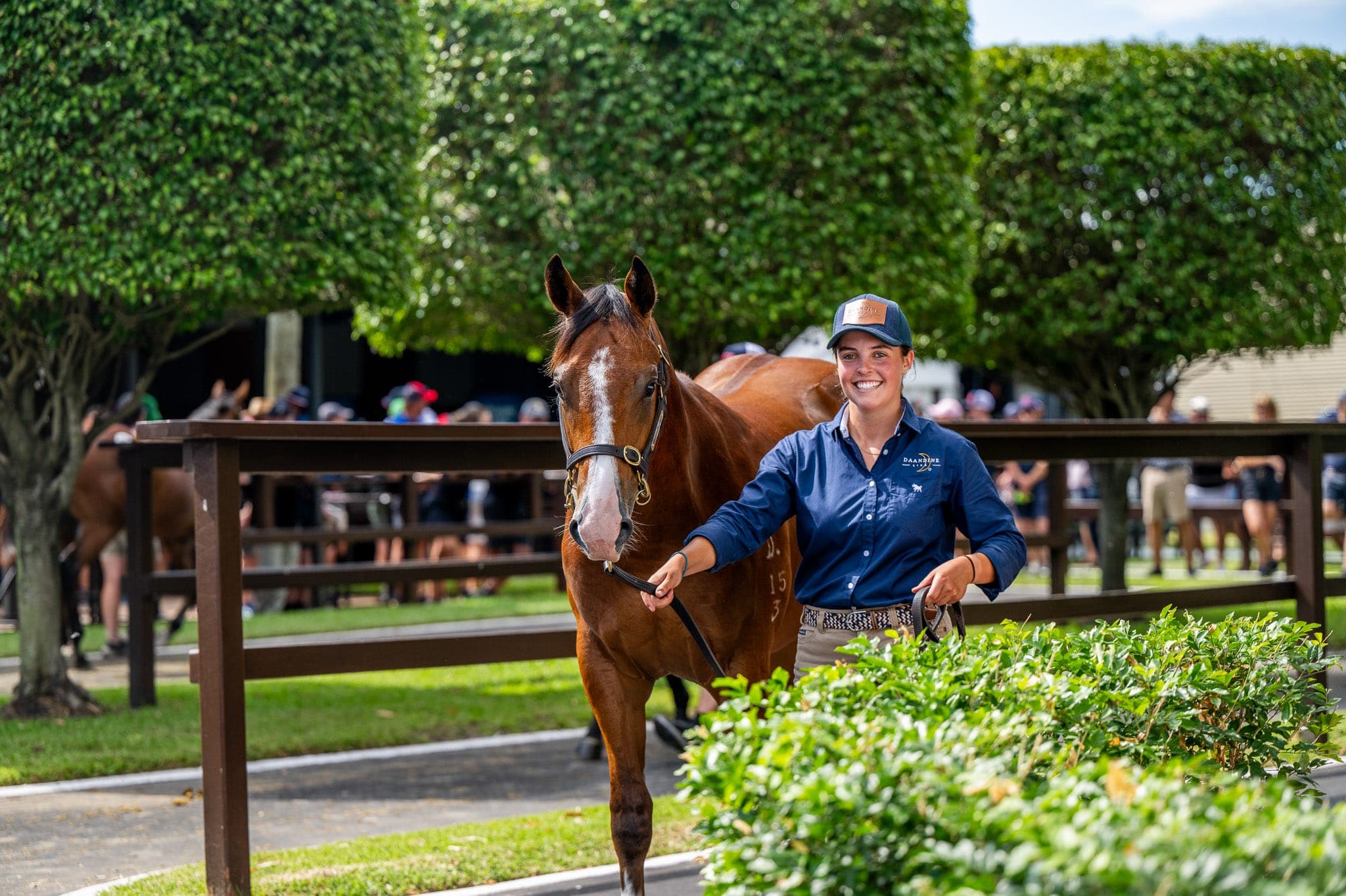 Lot 404, Spirit of Boom x Flamenco Girl — Sales photograph by Sharon Lee Chapman