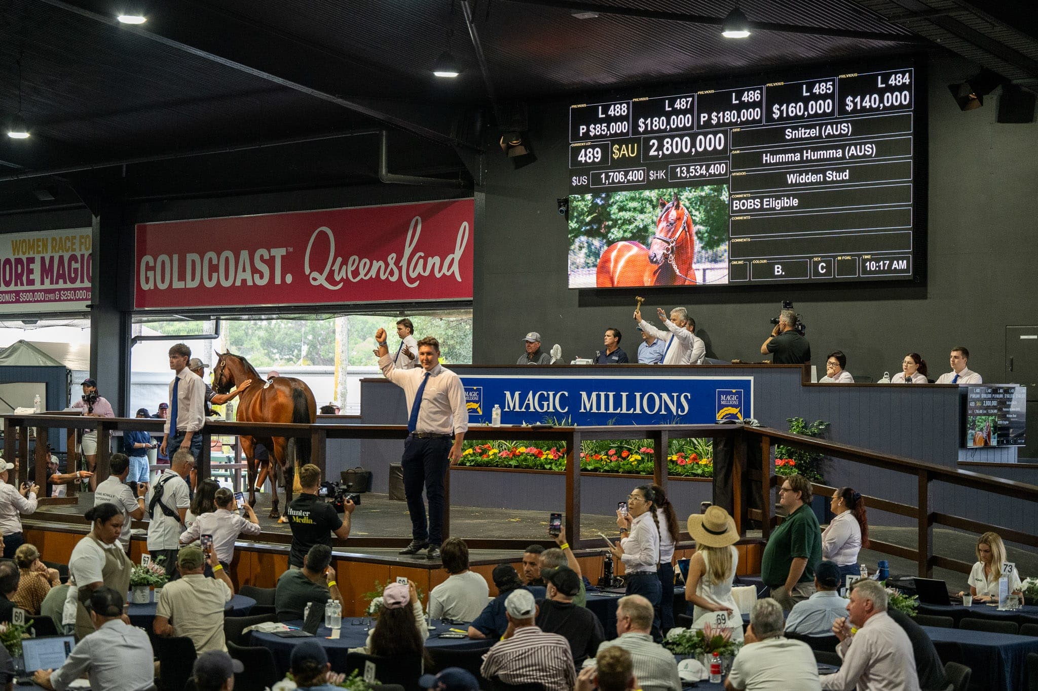 Lot 489, Snitzel x Humma Mumma — Sales photograph by Sharon Lee Chapman