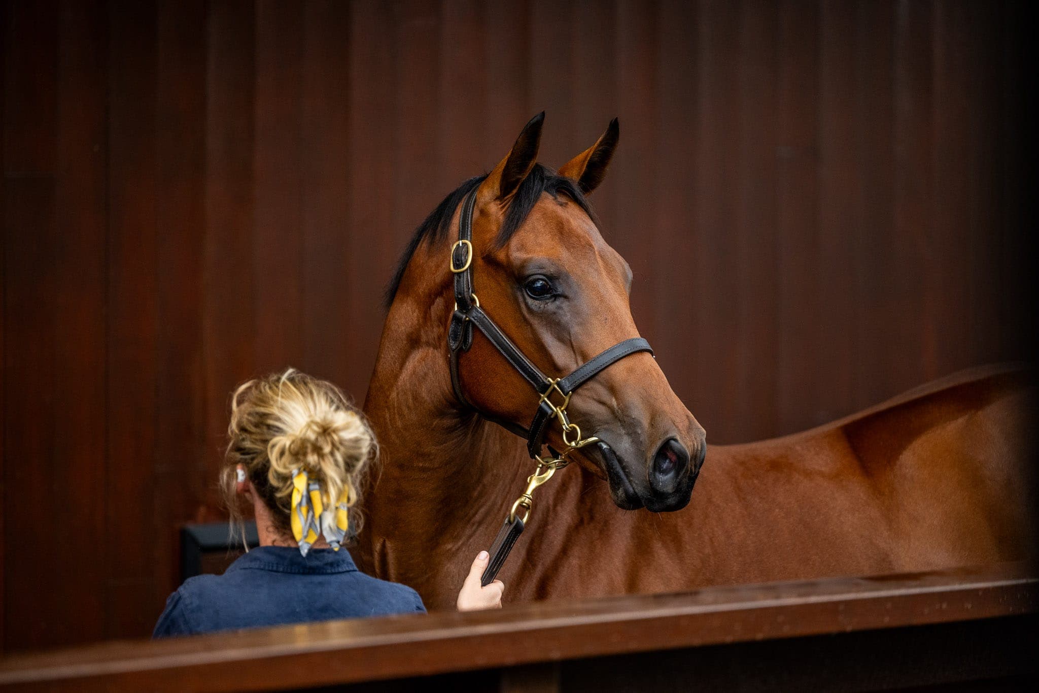 Lot 519, Street Boss x Invincible Jewel — Sales photograph by Sharon Lee Chapman