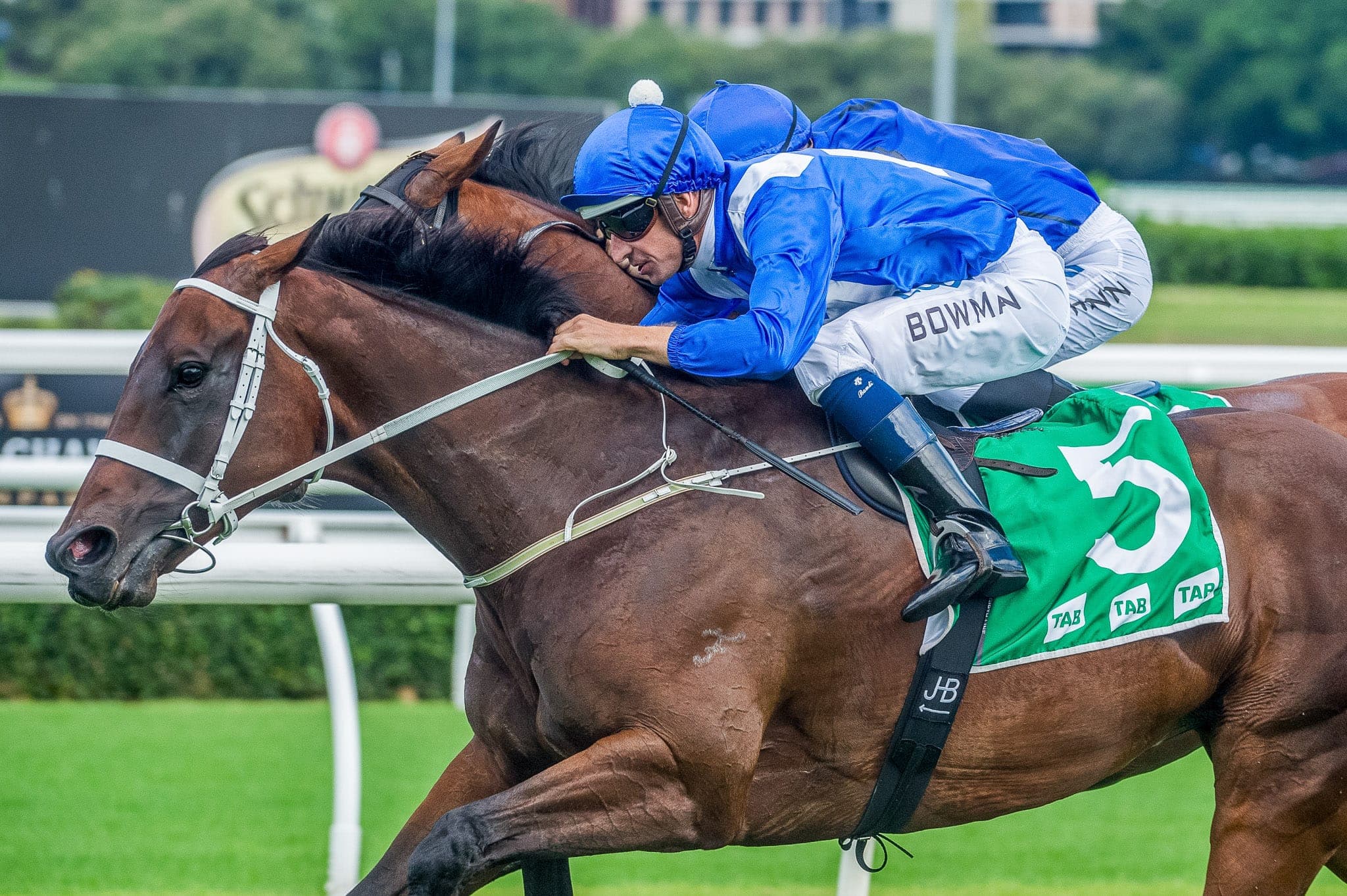 Winx, Chipping Norton II — Winx Series photograph by Sharon Lee Chapman