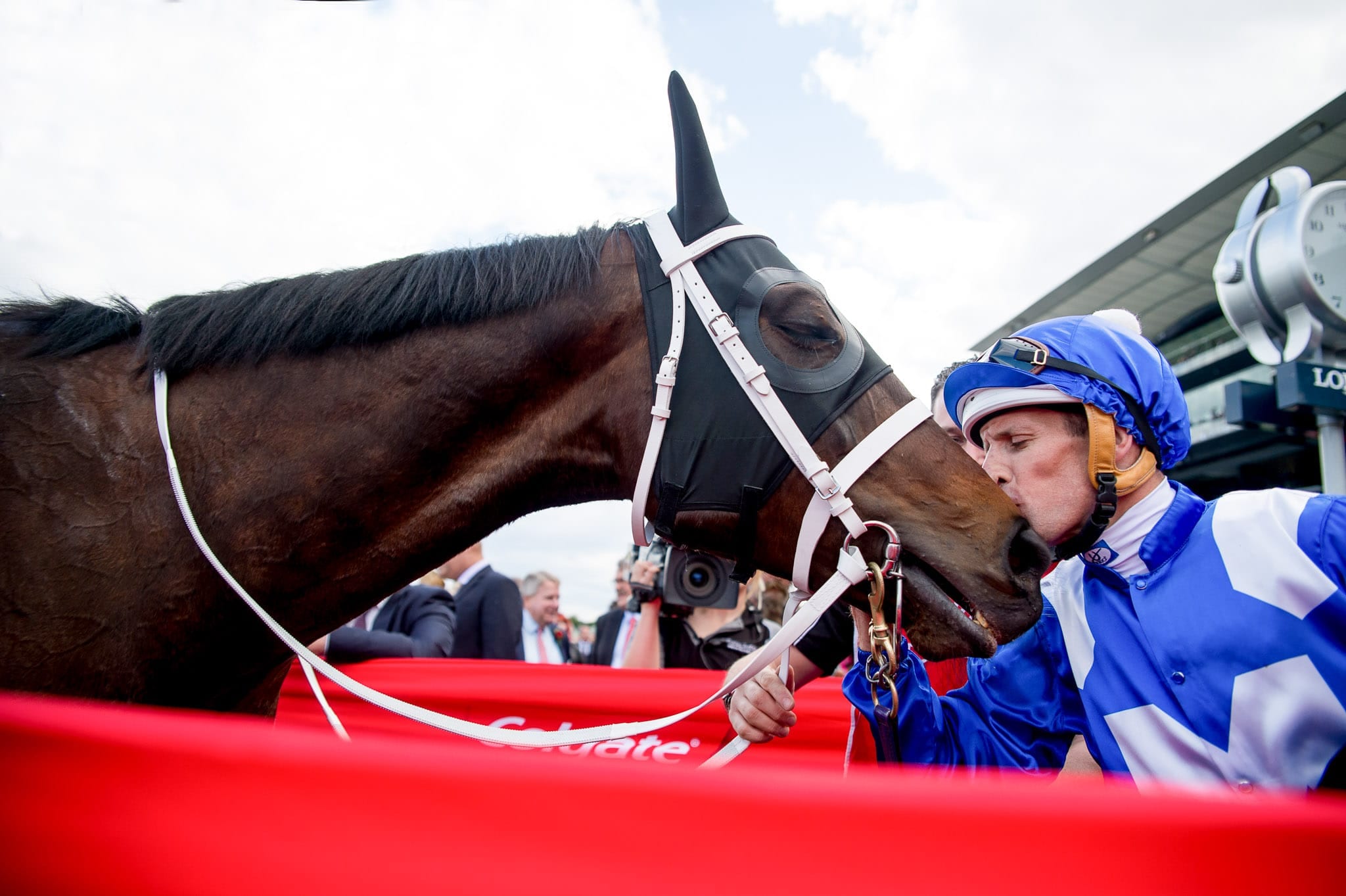 Winx, Colglate Optic White Stakes, Colour II — equine photograph by Sharon Lee Chapman