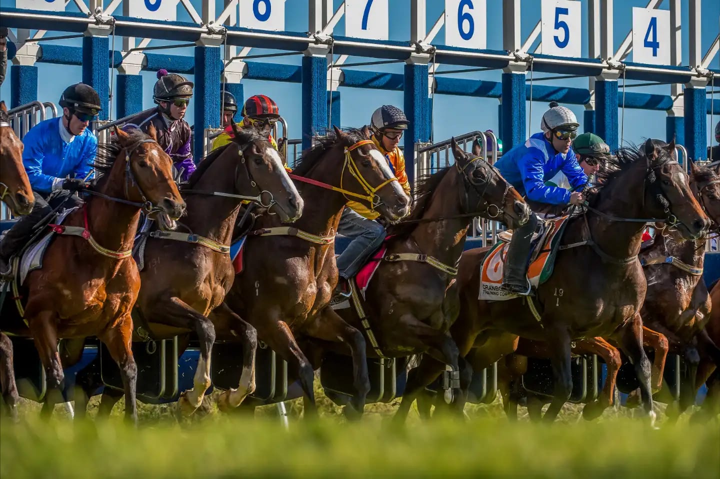 Cranbourne, Trials — equine fine art photograph by Sharon Lee Chapman
