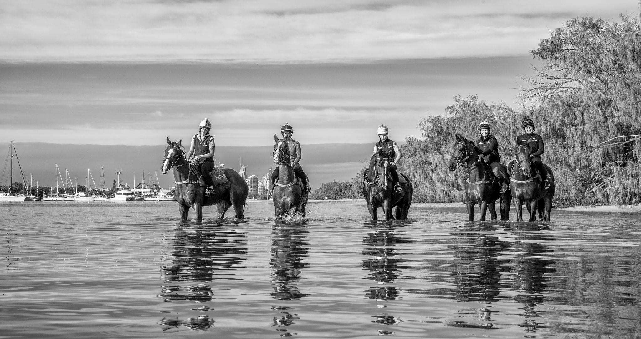 Amish Boy, Lord Belvedere, Southern France, Explosive Jack & Lets Karaka Deel_29-05-21_SLC_0121 — equine fine art photograph by Sharon Lee Chapman