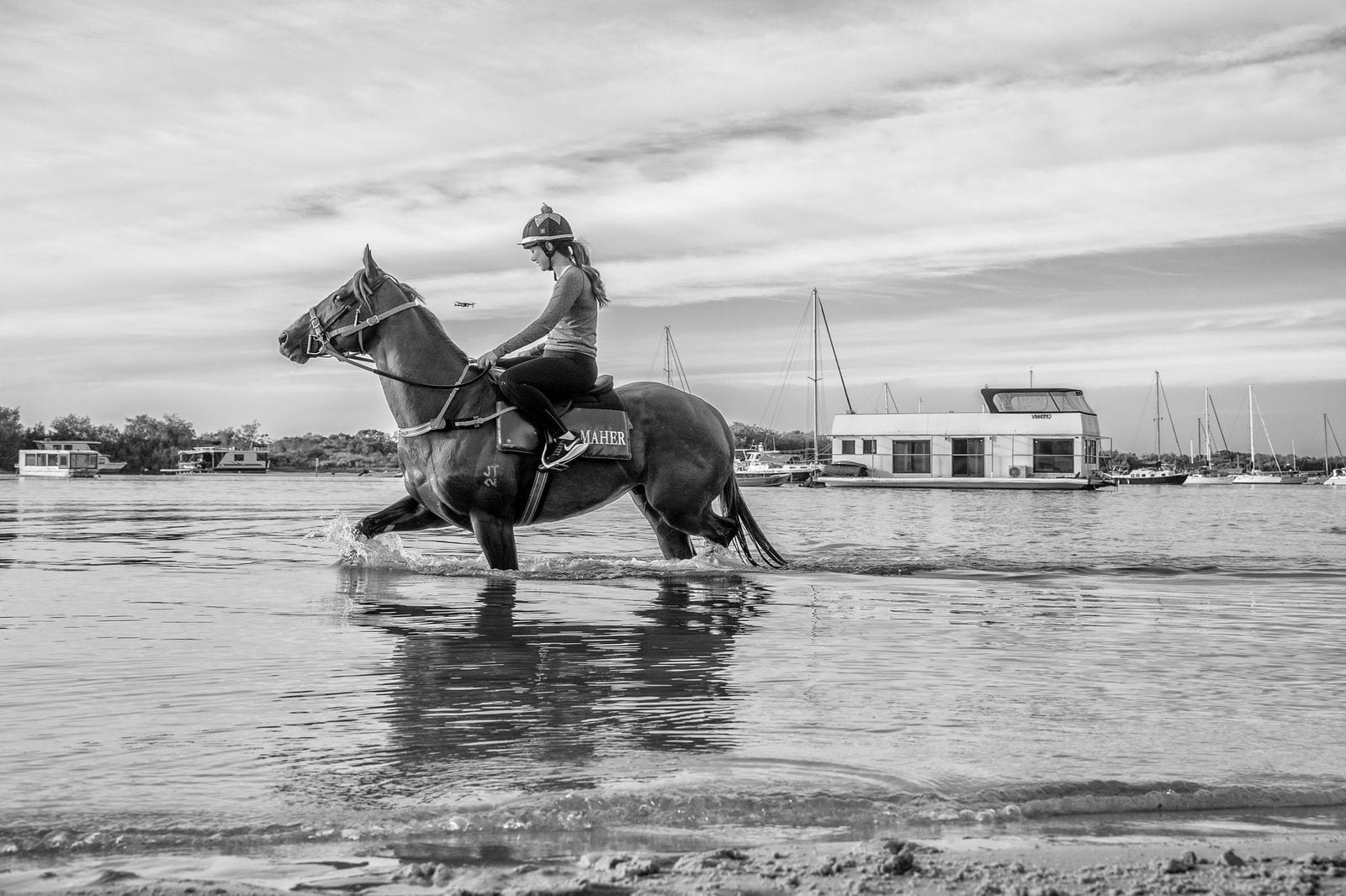 Amish Boy_29-05-21, The Spit, SLC_0046 — equine fine art photograph by Sharon Lee Chapman