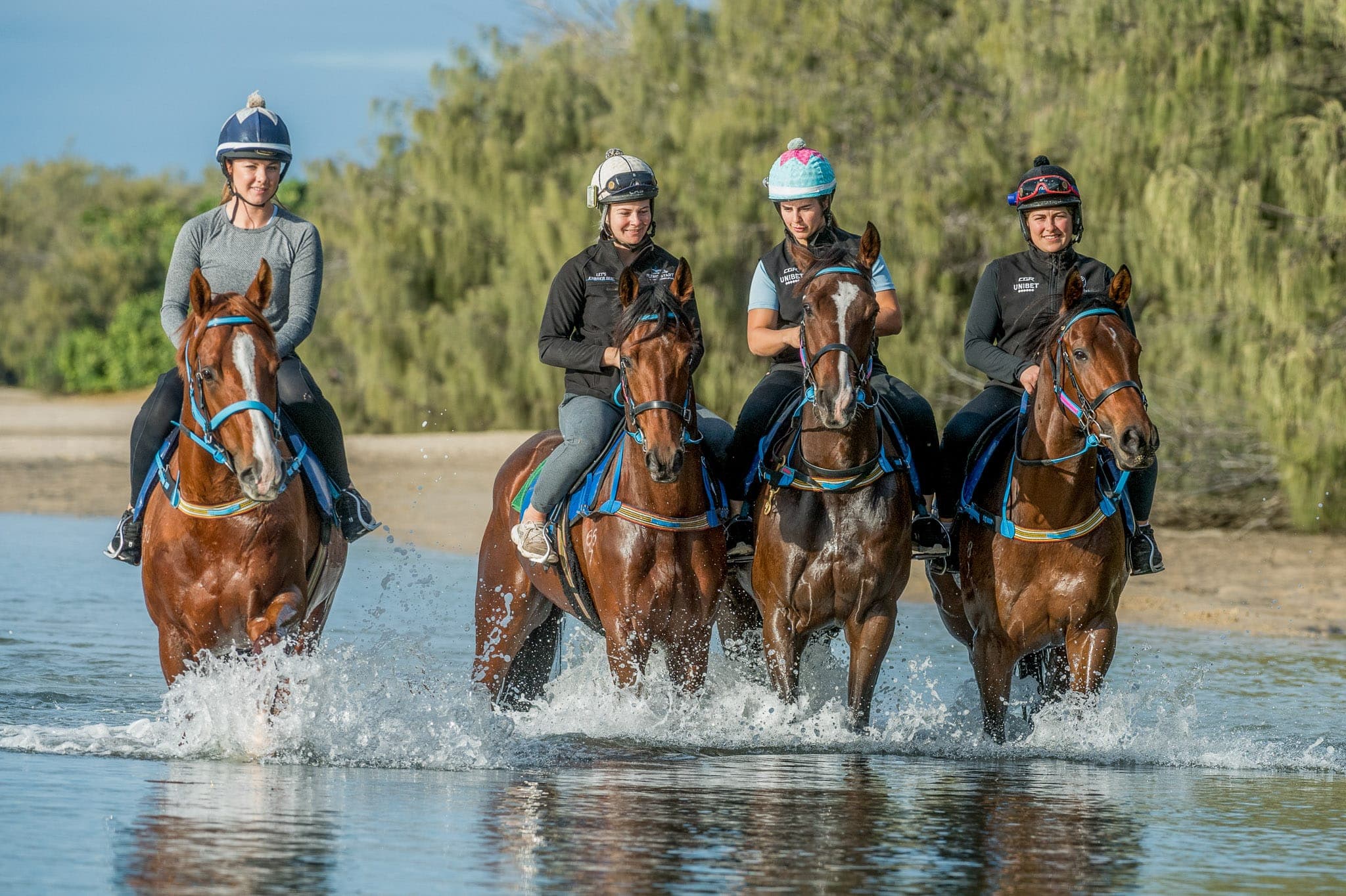 Amish Boy, Explosive Jack, Lets Karaka Deel & Southern France, The Spit — Beach & Trackwork photograph by Sharon Lee Chapman
