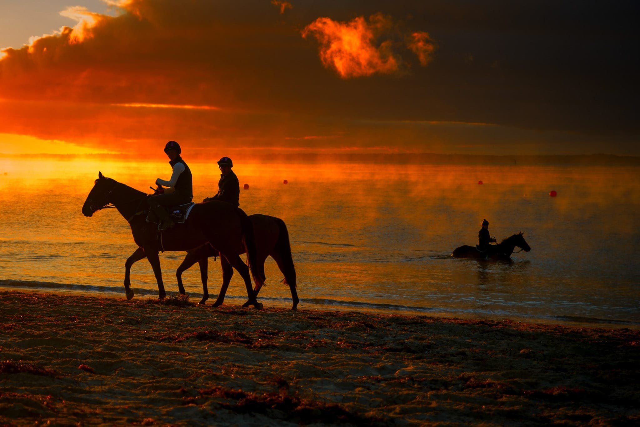 Balnarring Beach, Costa & Monga, Charlotte Littlefield — Beach & Trackwork photograph by Sharon Lee Chapman
