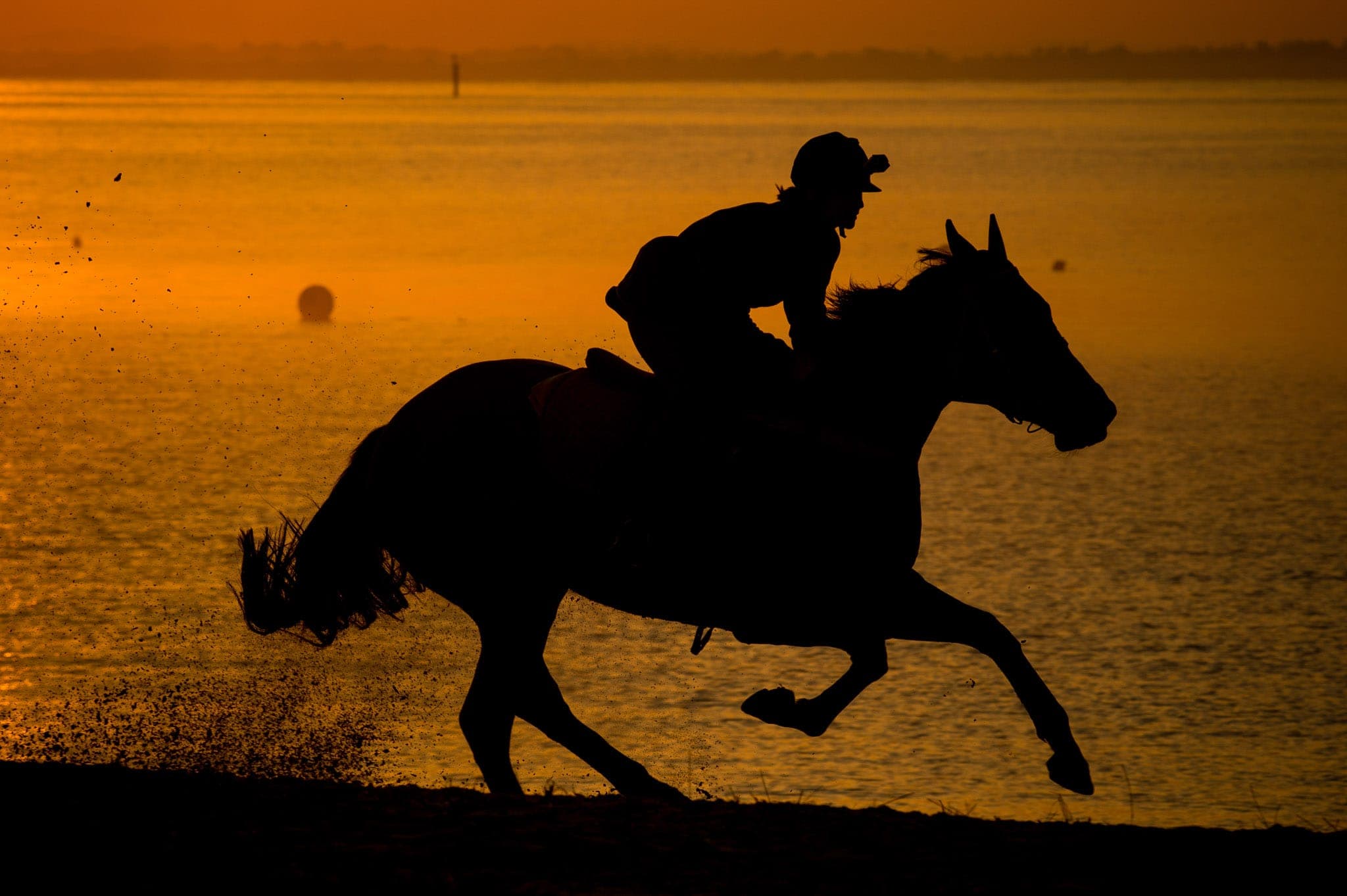 Balnarring Beach, Monica Cid — Beach & Trackwork photograph by Sharon Lee Chapman