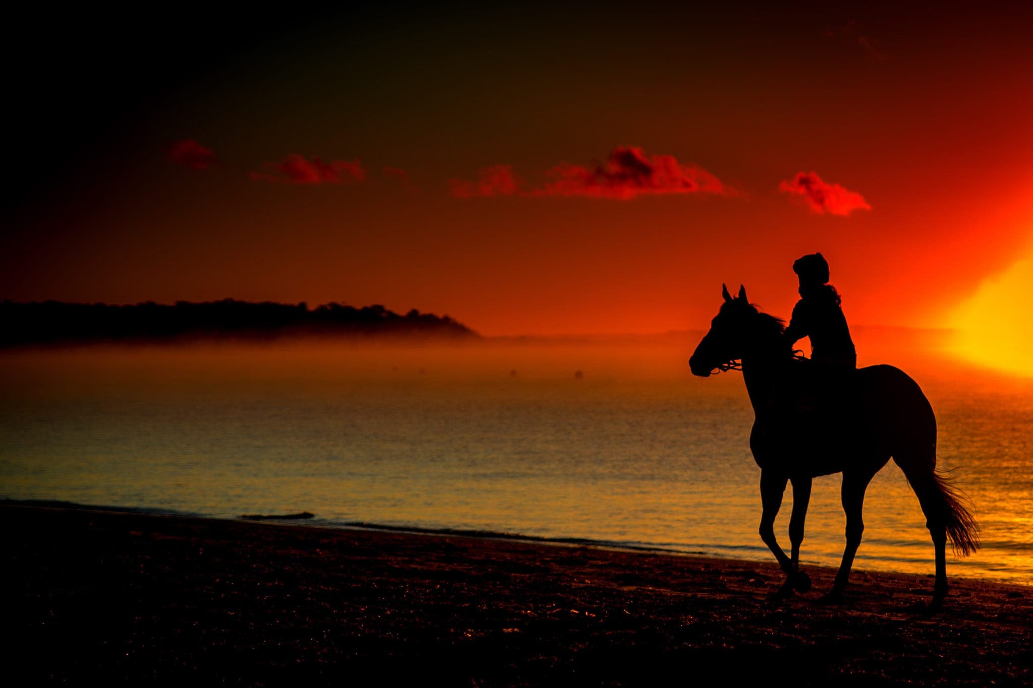 Balnarring Beach, Sleepless Nights, Malua Racing — Beach & Trackwork photograph by Sharon Lee Chapman