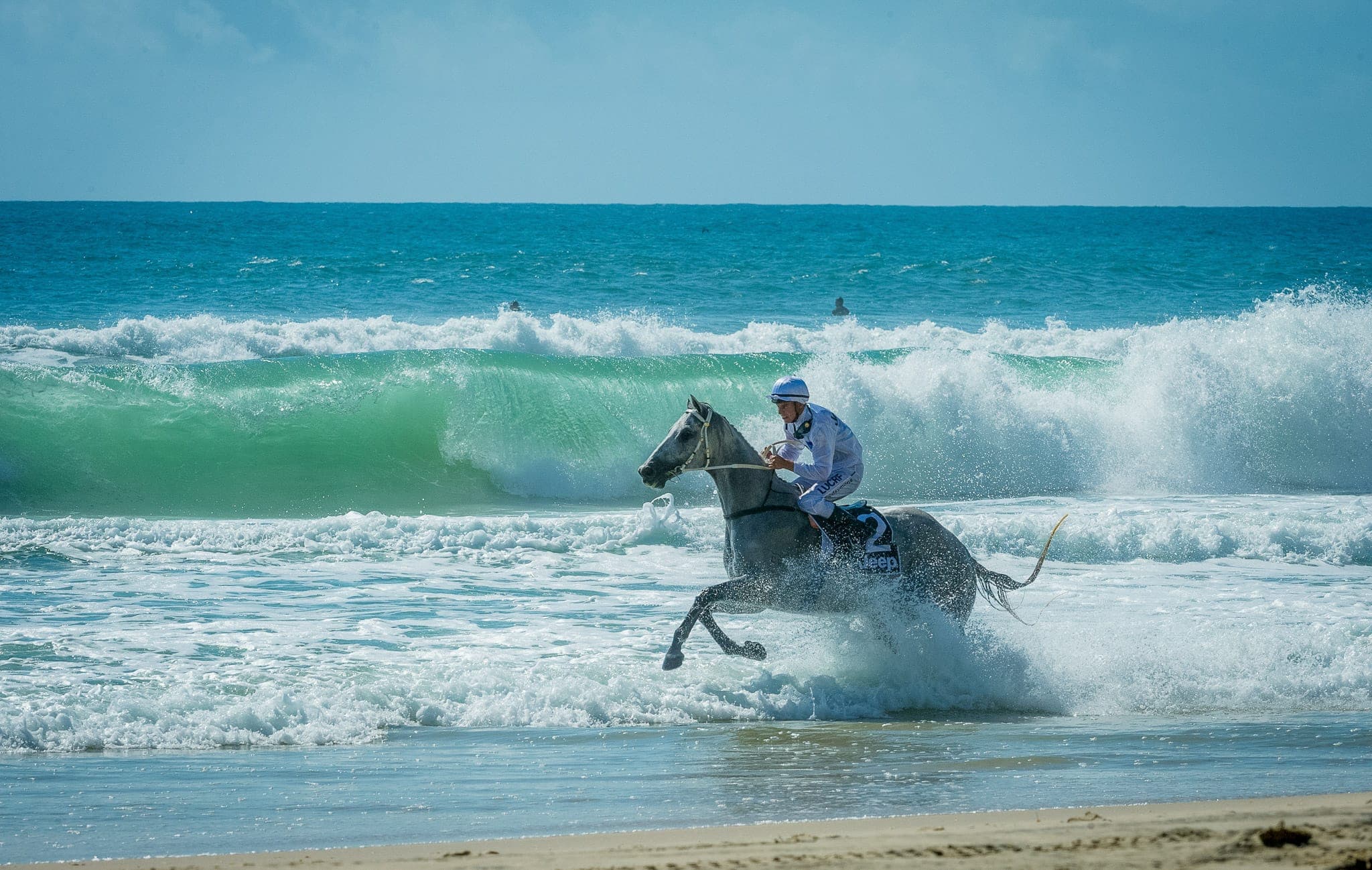 Barrier Draw, Chris Symons, Magic Millions, Mark Lee — Beach & Trackwork photograph by Sharon Lee Chapman