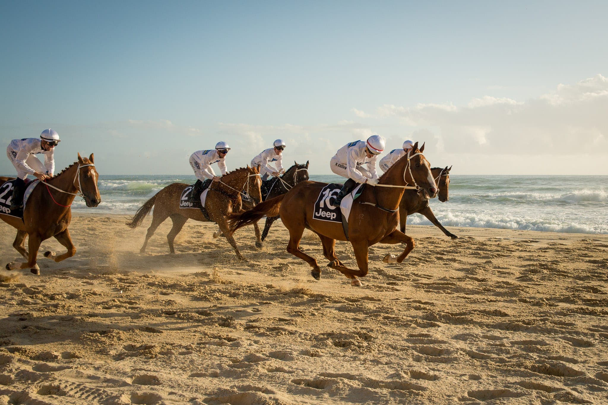 Barrier Draw, Noel Callow, Magic Millions, Mark Lee — Beach & Trackwork photograph by Sharon Lee Chapman