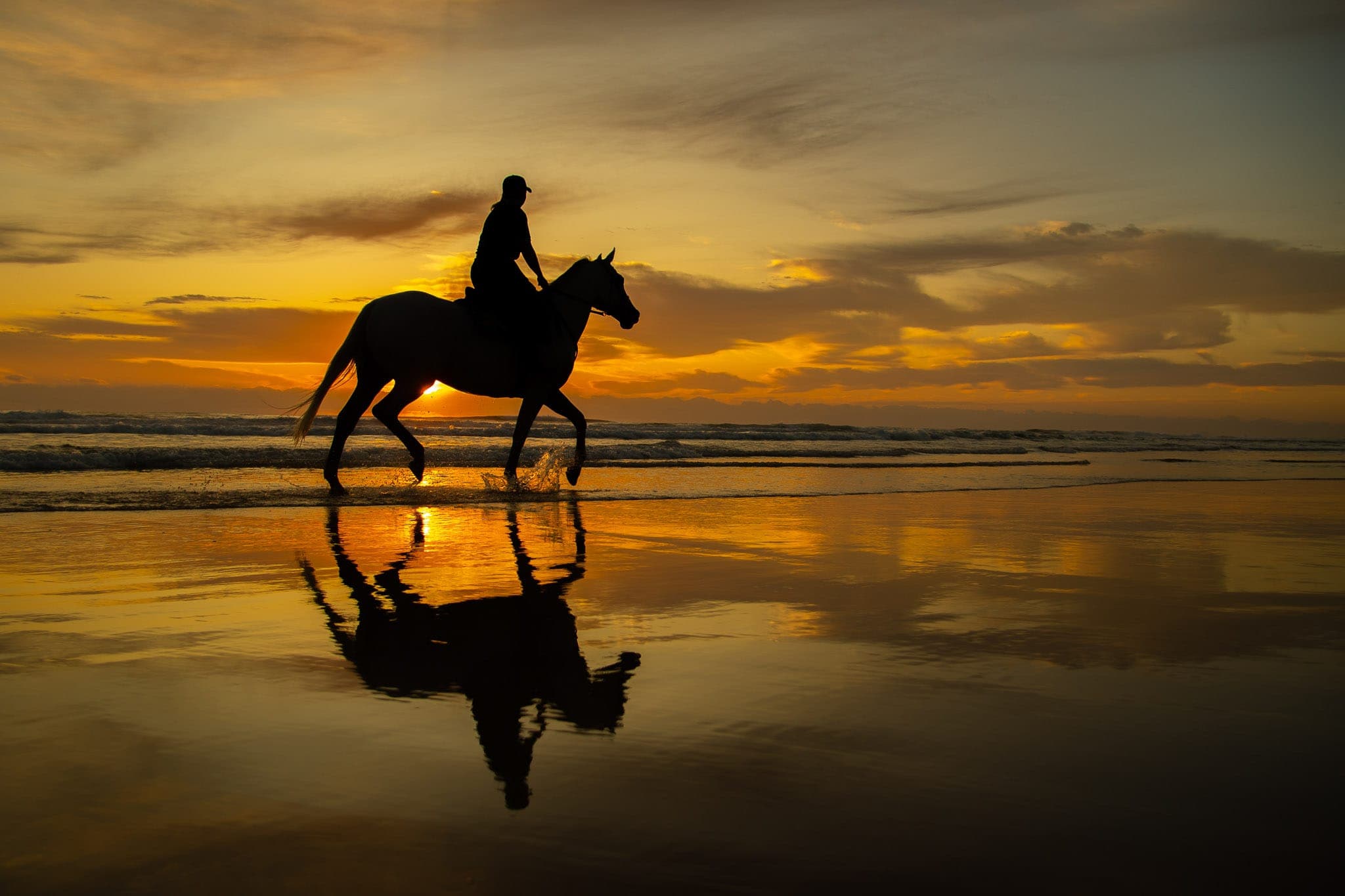 Barrier Draw, Sunrise, MM GC — Beach & Trackwork photograph by Sharon Lee Chapman