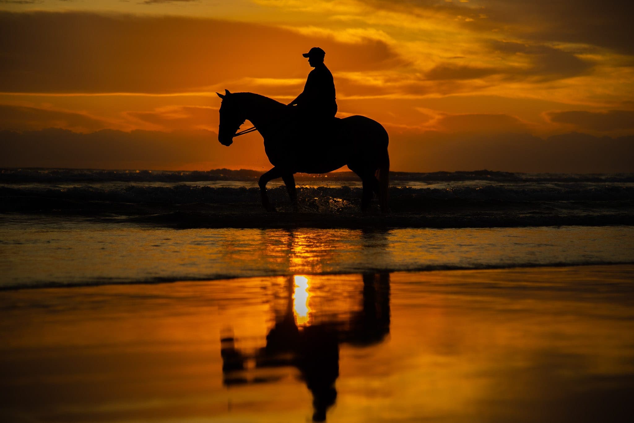 Barrier Draw, Sunrise, MM GC — Beach & Trackwork photograph by Sharon Lee Chapman