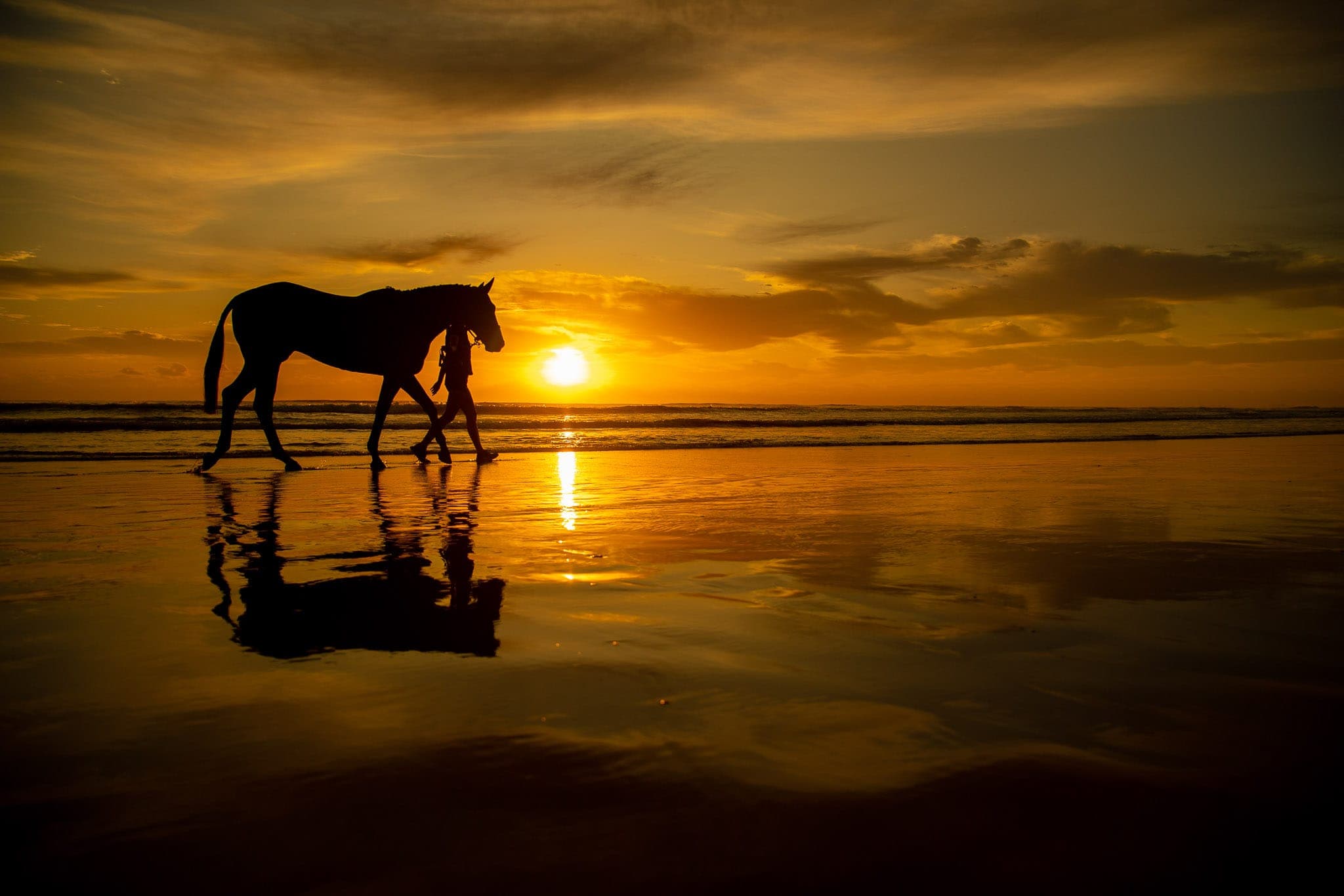 Barrier Draw, Sunrise, MM GC — Beach & Trackwork photograph by Sharon Lee Chapman