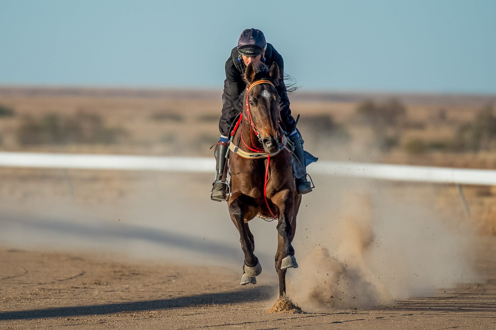 Betoota, Trackwork — Beach & Trackwork photograph by Sharon Lee Chapman