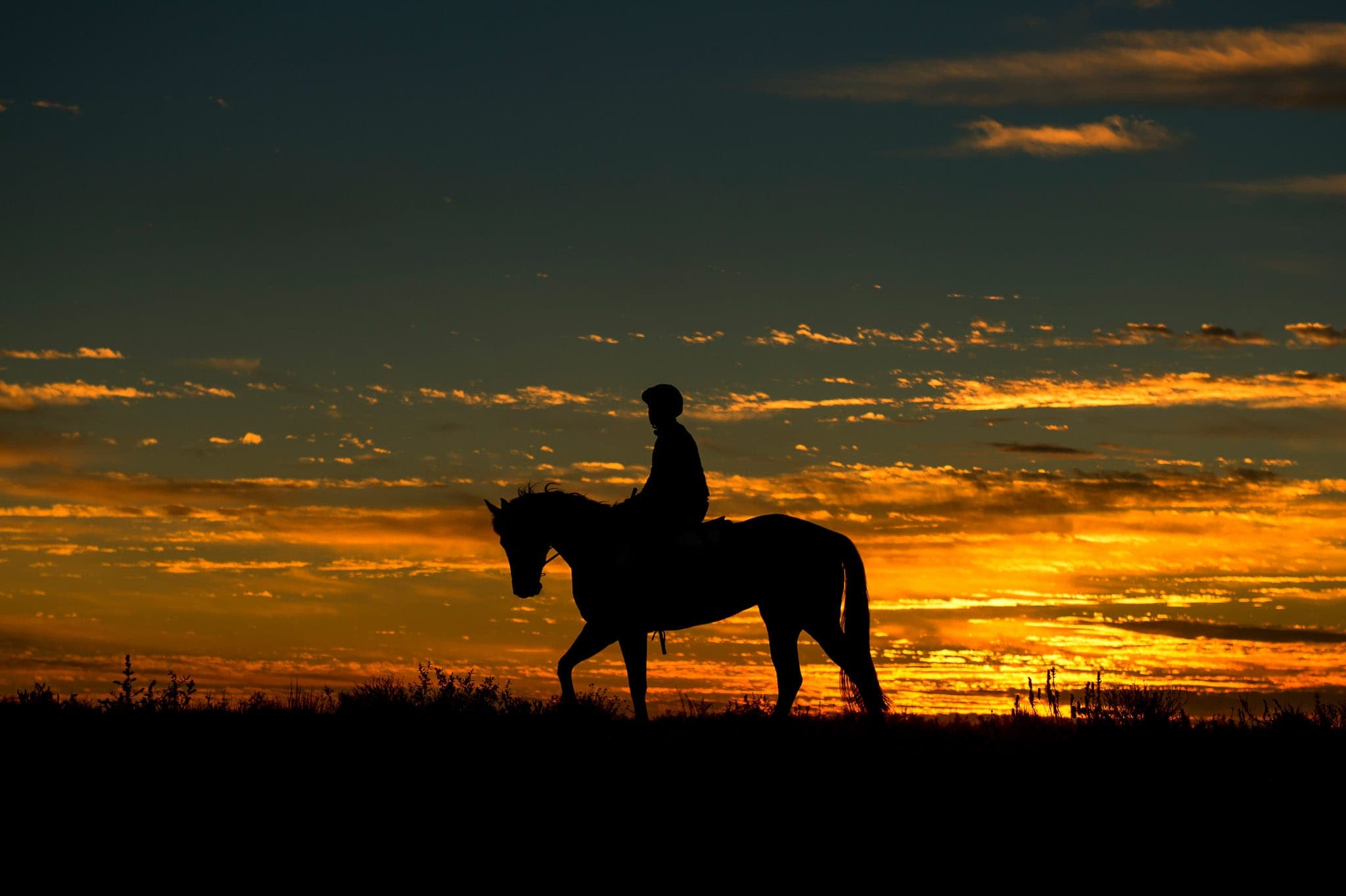 Birdsville, Trackwork, Sunrise — Beach & Trackwork photograph by Sharon Lee Chapman