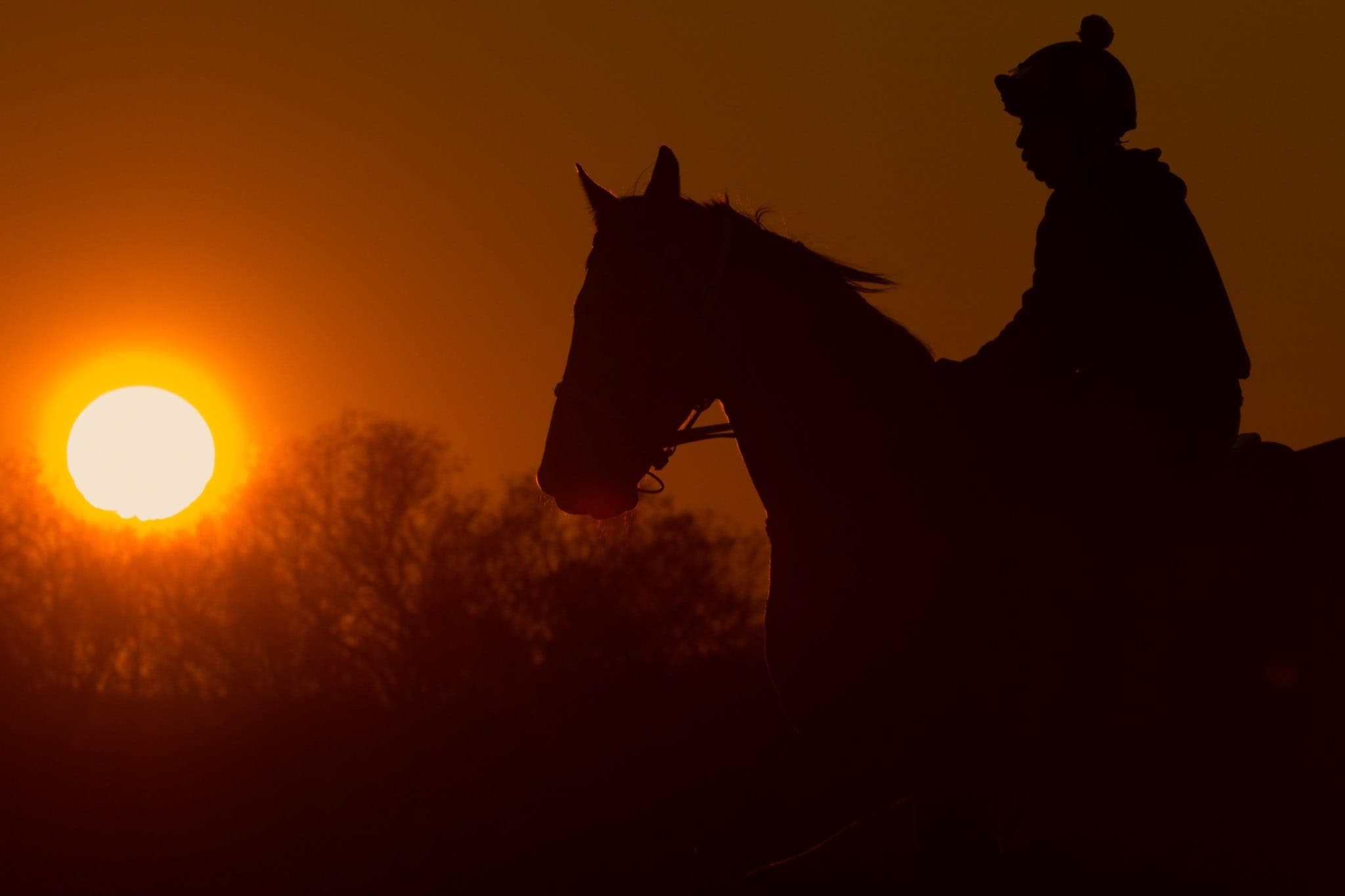 Birdsville, Trackwork, Sunrise — Beach & Trackwork photograph by Sharon Lee Chapman