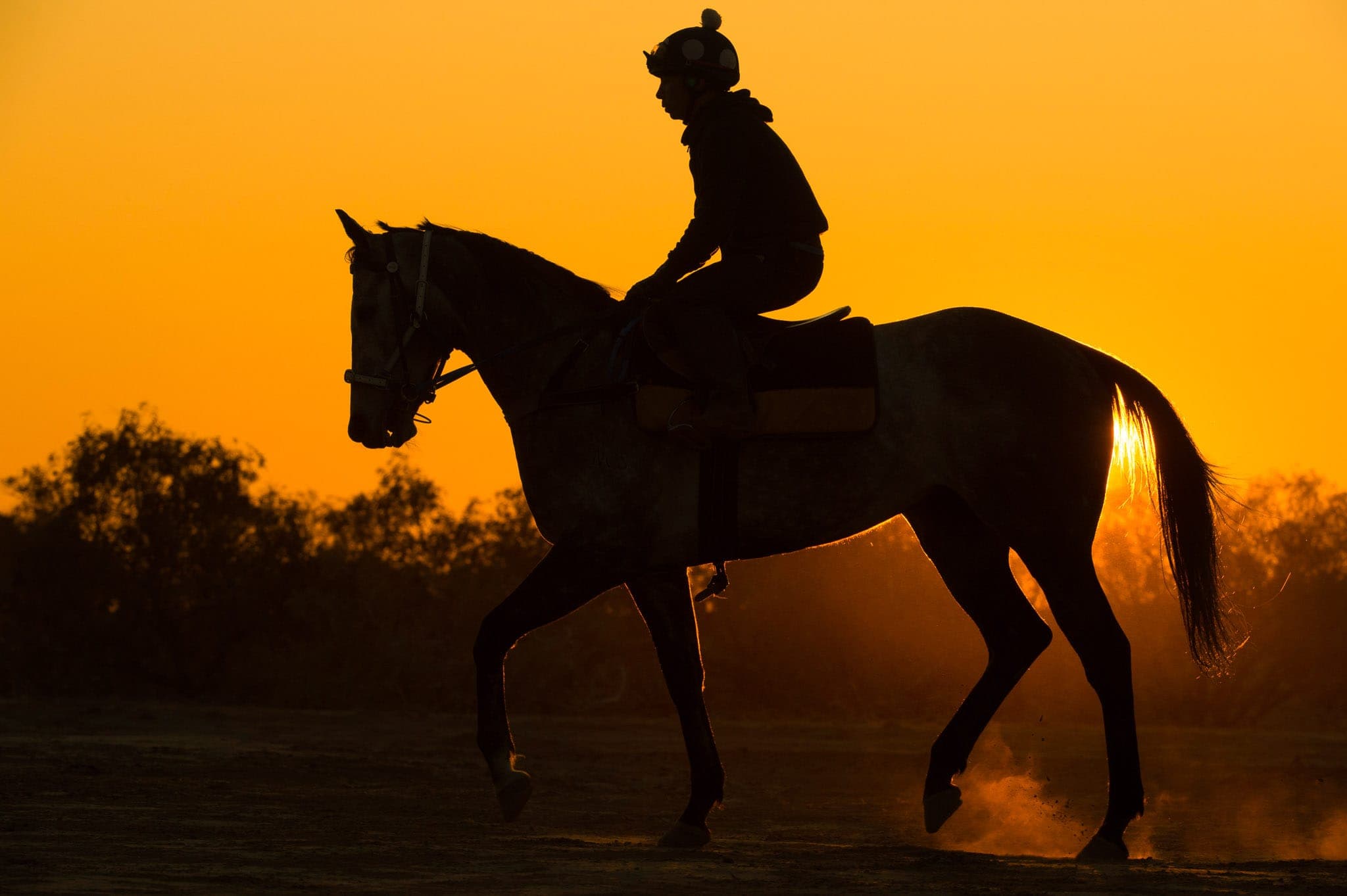 Birdsville, Trackwork, Sunrise — Beach & Trackwork photograph by Sharon Lee Chapman