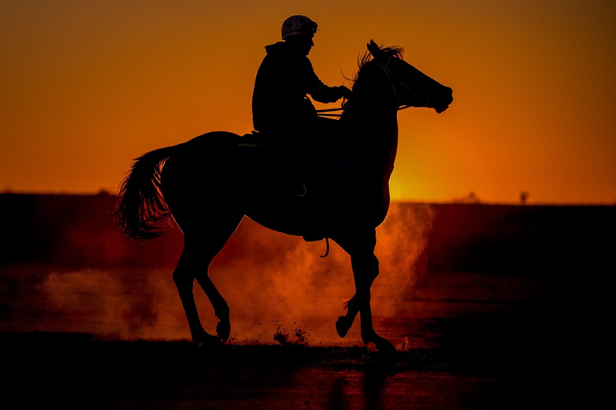 Birdsville, Trackwork, Sunrise — Beach & Trackwork photograph by Sharon Lee Chapman
