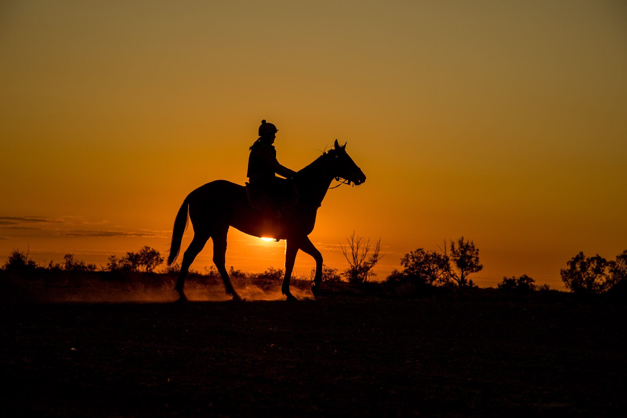 Birdsville, Trackwork, Sunrise — Beach & Trackwork photograph by Sharon Lee Chapman