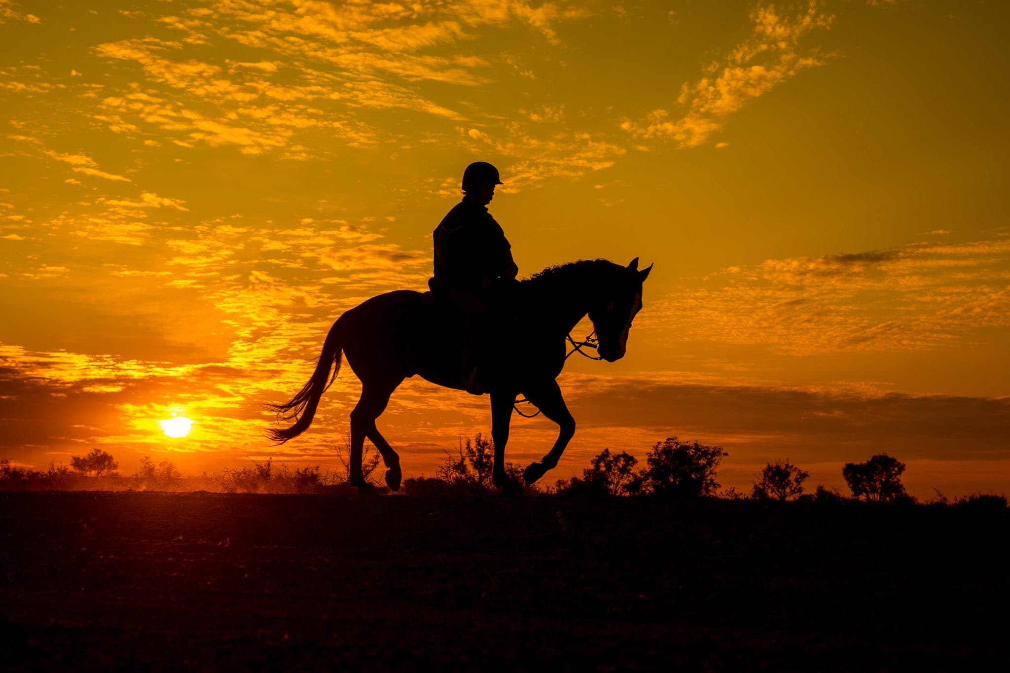 Birdsville, Trackwork, Sunrise — Beach & Trackwork photograph by Sharon Lee Chapman