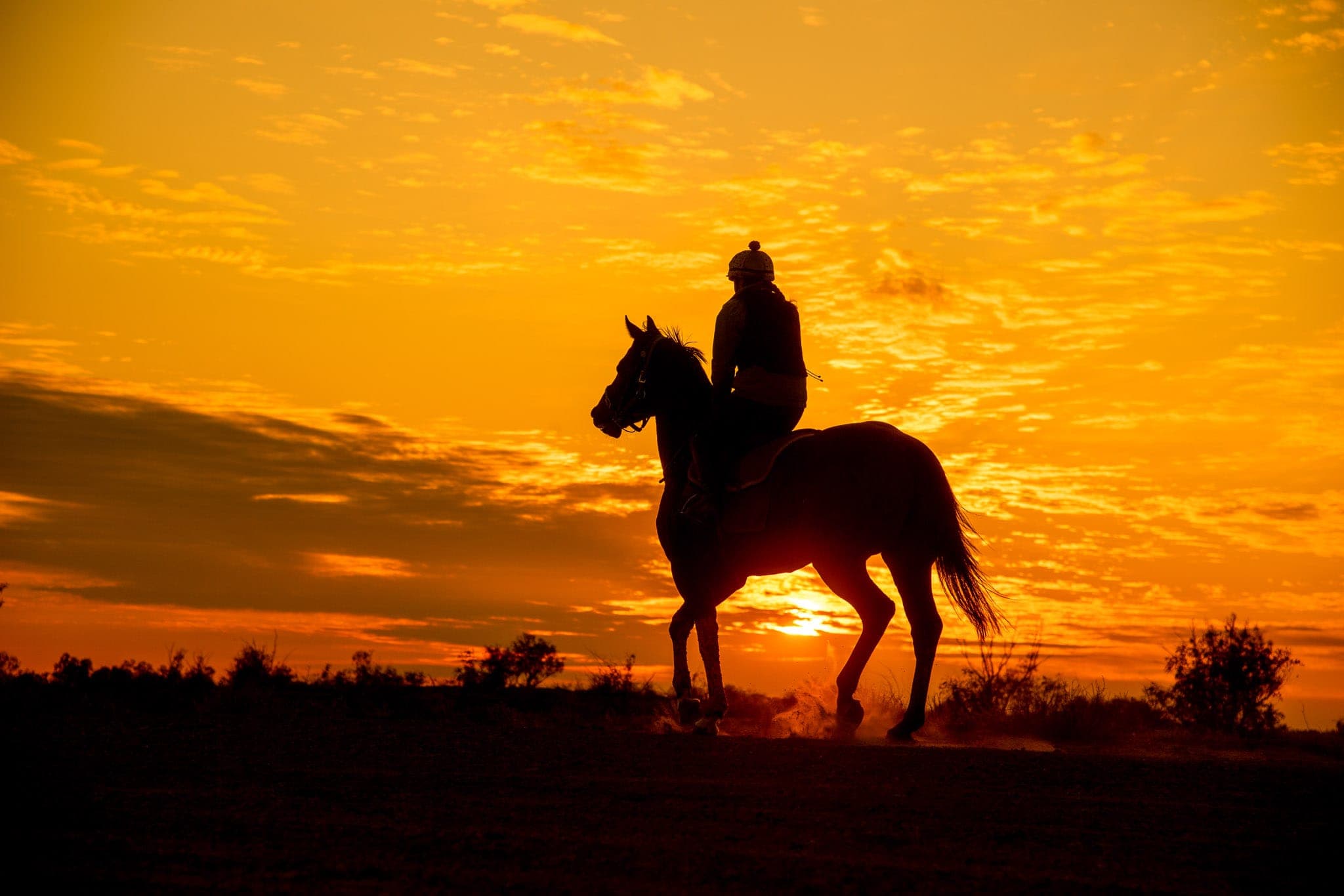 Birdsville, Trackwork, Sunrise — Beach & Trackwork photograph by Sharon Lee Chapman