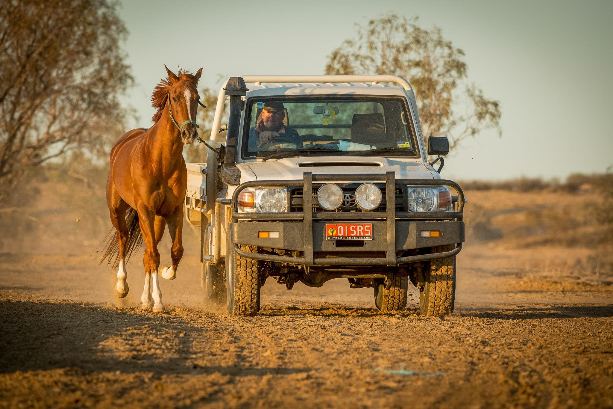 Birdsville, Trackwork, Utes — Beach & Trackwork photograph by Sharon Lee Chapman
