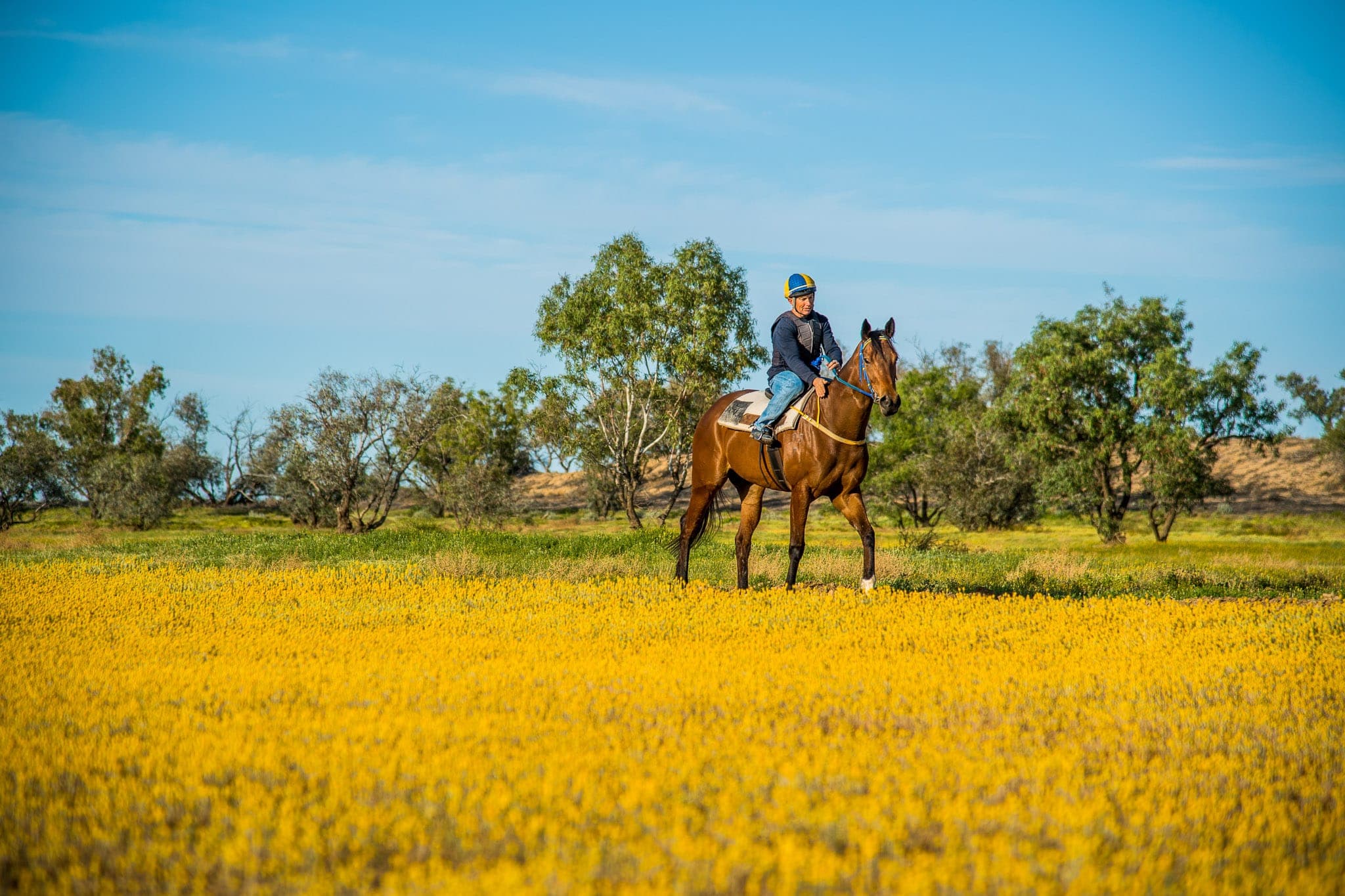Birdsville, Trackwork, Wildflowers — Beach & Trackwork photograph by Sharon Lee Chapman