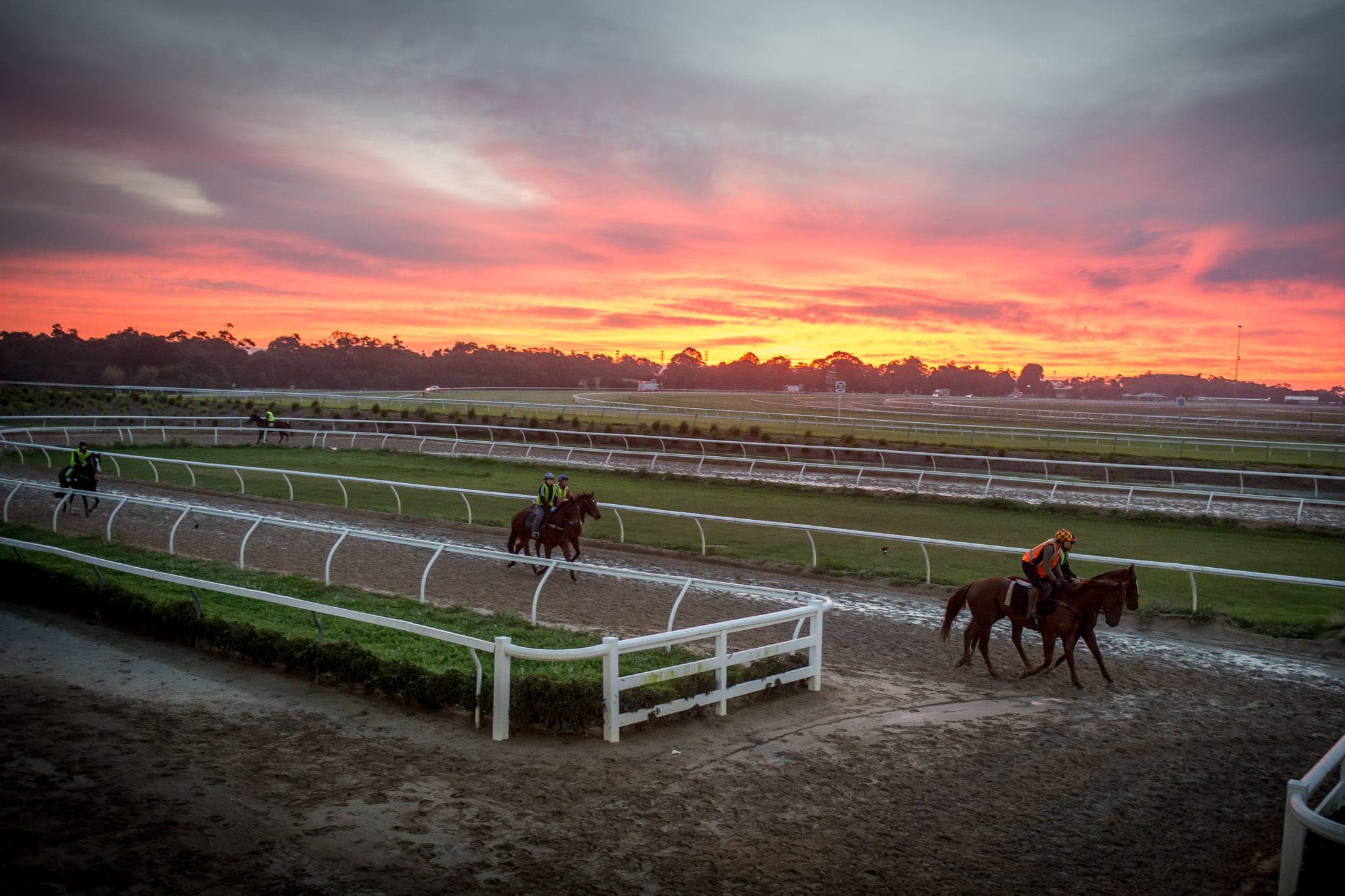 Cranbourne Trackwork — Beach & Trackwork photograph by Sharon Lee Chapman