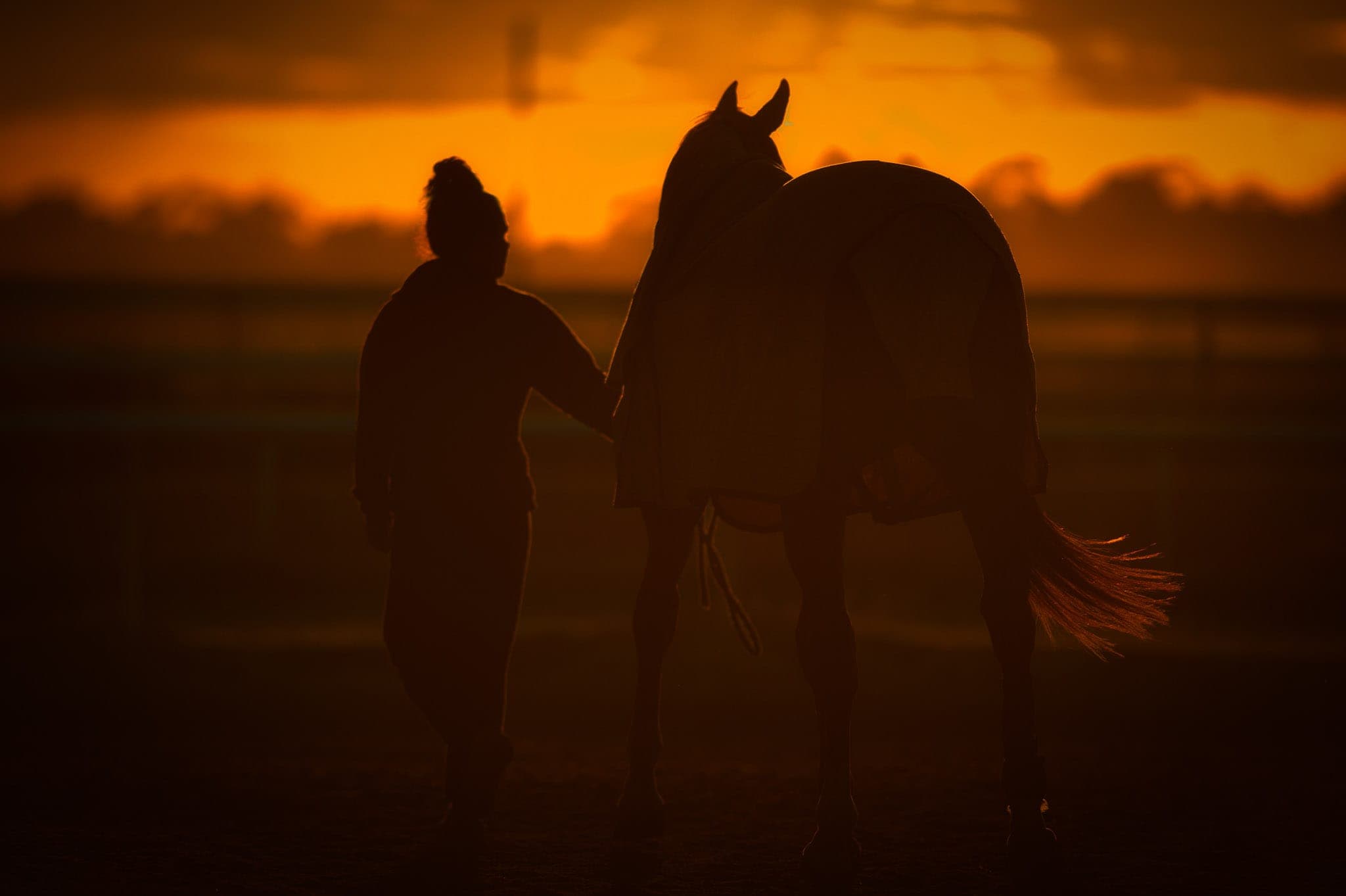 Cranbourne, Trackwowrk — Beach & Trackwork photograph by Sharon Lee Chapman