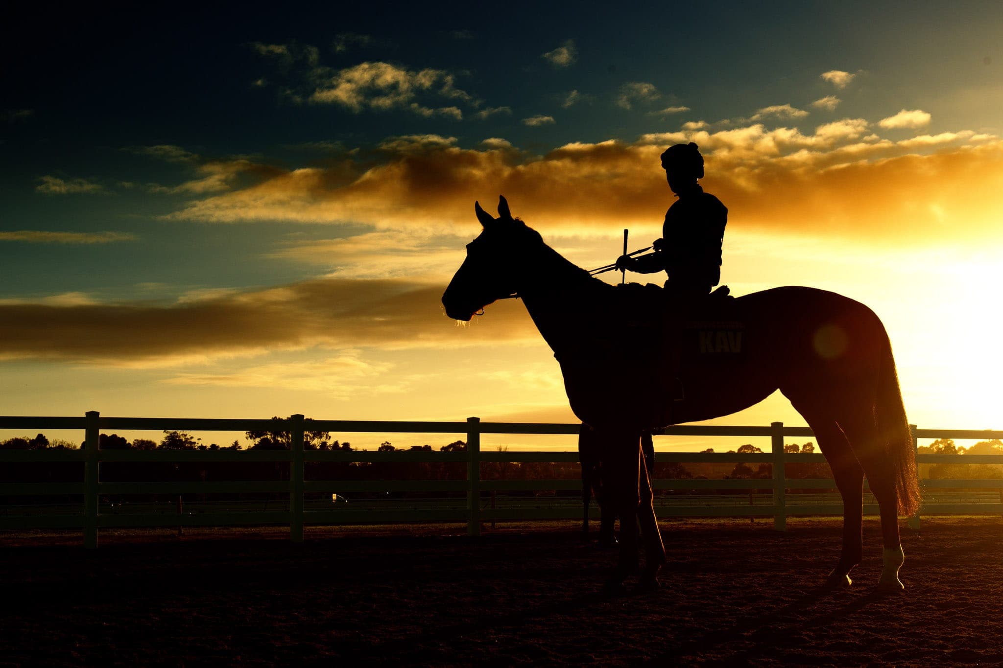 Flemington, Trackwork — Beach & Trackwork photograph by Sharon Lee Chapman