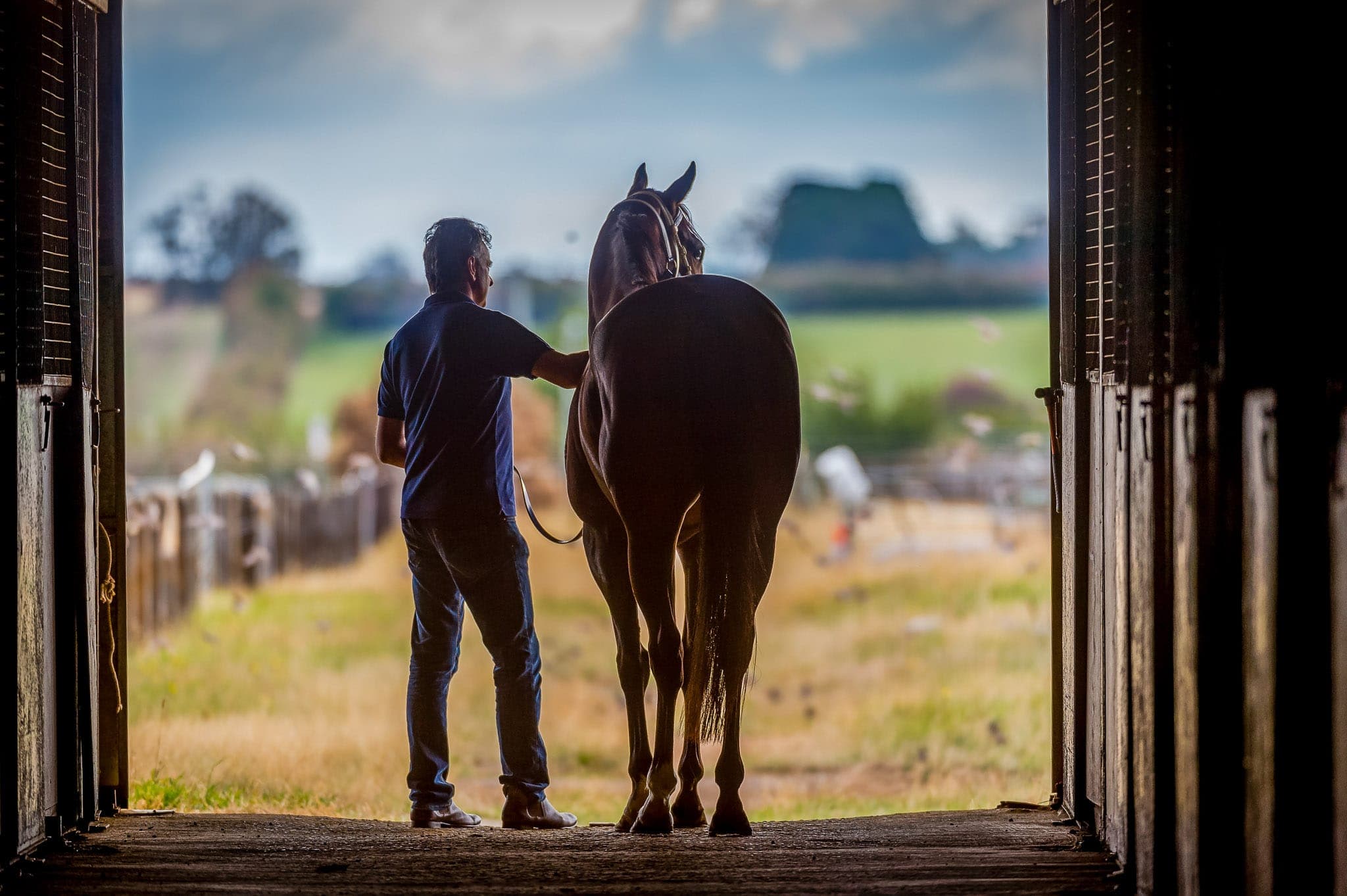 Stables — Beach & Trackwork photograph by Sharon Lee Chapman