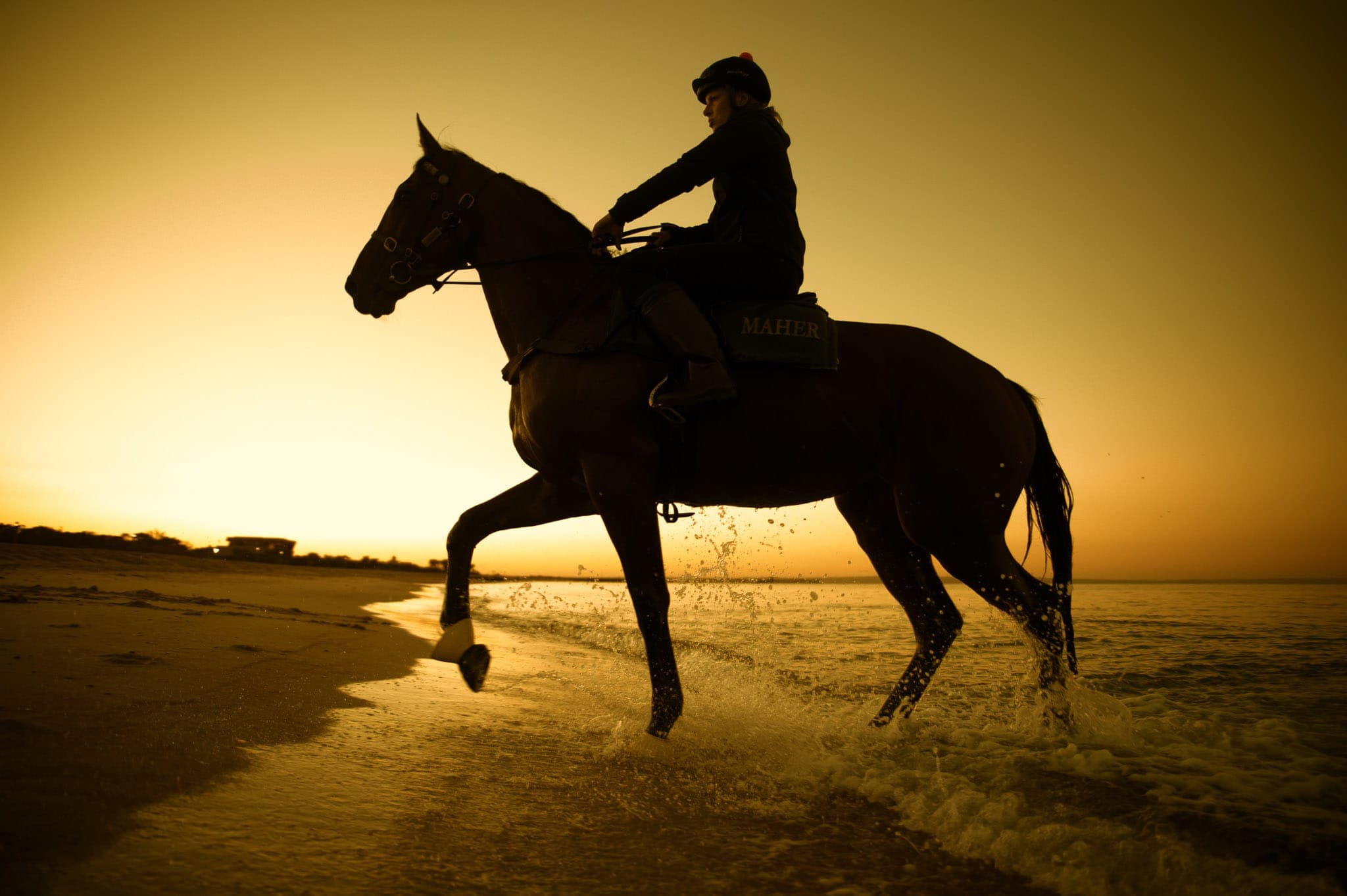 Jameka, Lucy Yeomans, Mordialloc Beach — Beach & Trackwork photograph by Sharon Lee Chapman
