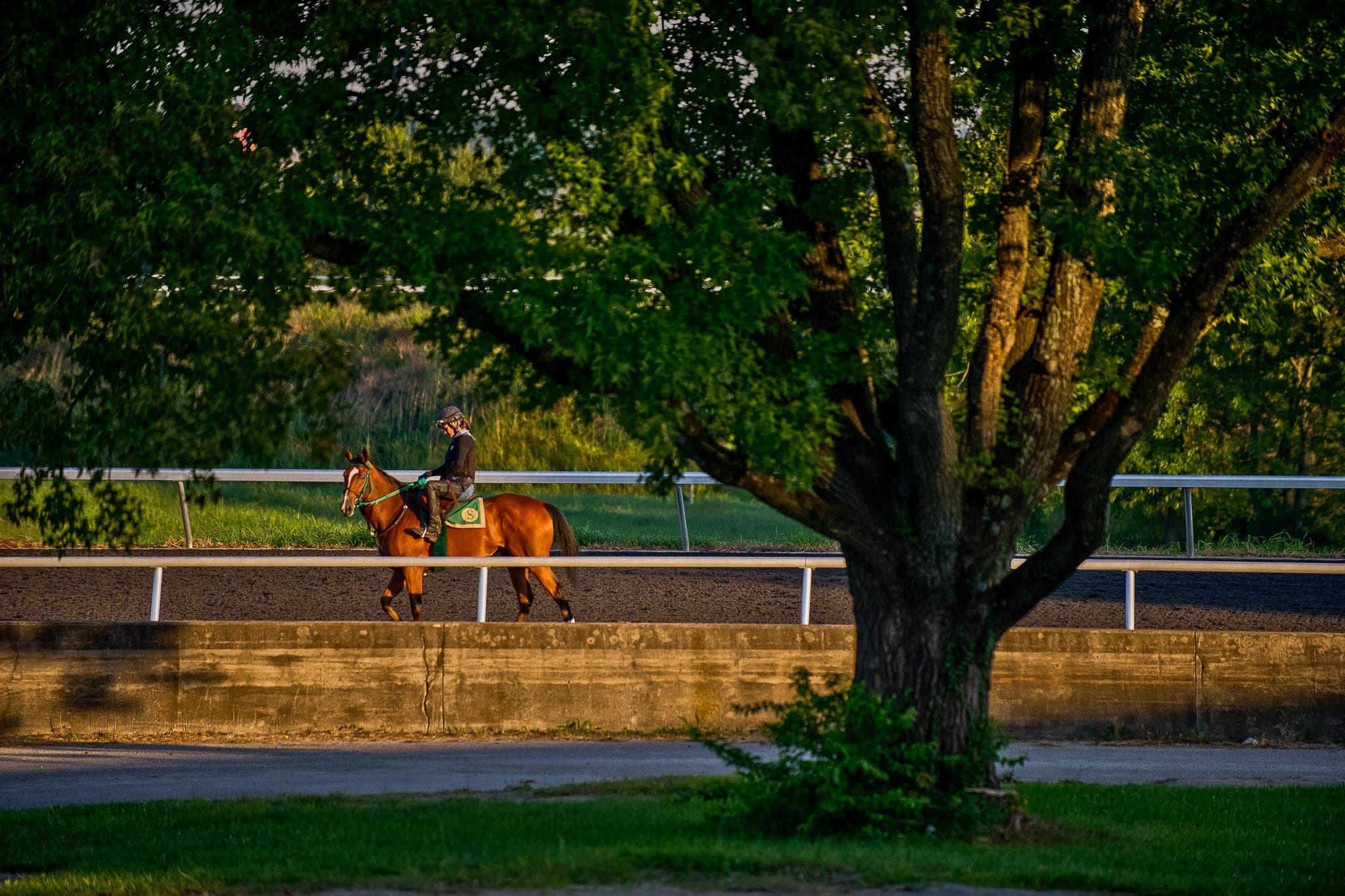 Kentucky, Trackwork — Beach & Trackwork photograph by Sharon Lee Chapman