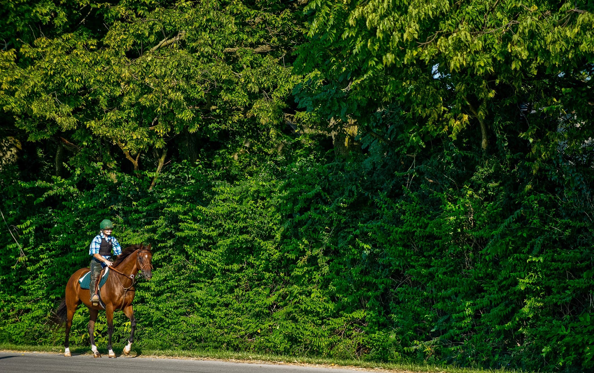Kentucky, Trackwork — Beach & Trackwork photograph by Sharon Lee Chapman