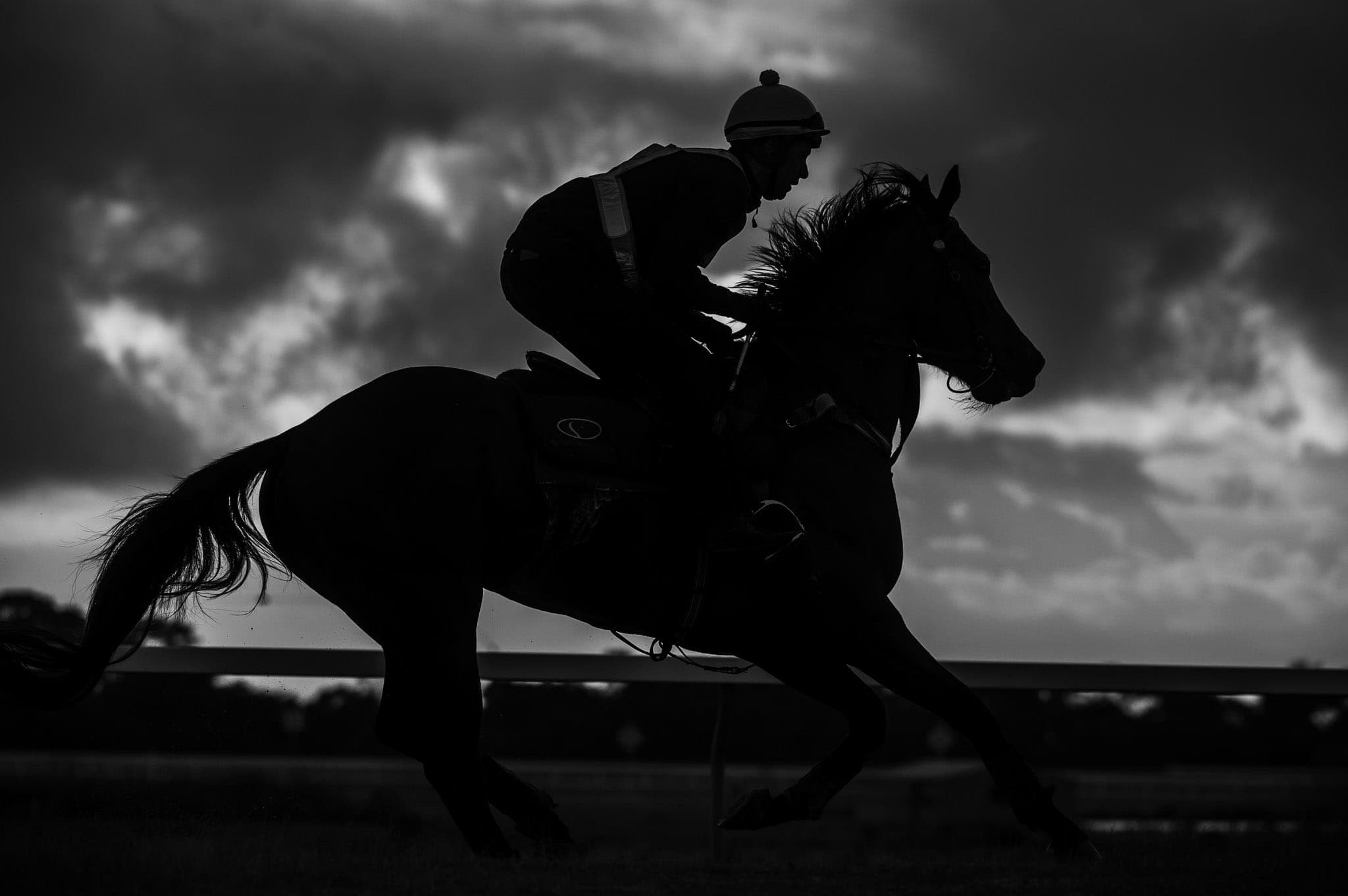 Lannister, Reid Balfour, Robbie Griffiths, Cranbourne Training Complex — Beach & Trackwork photograph by Sharon Lee Chapman