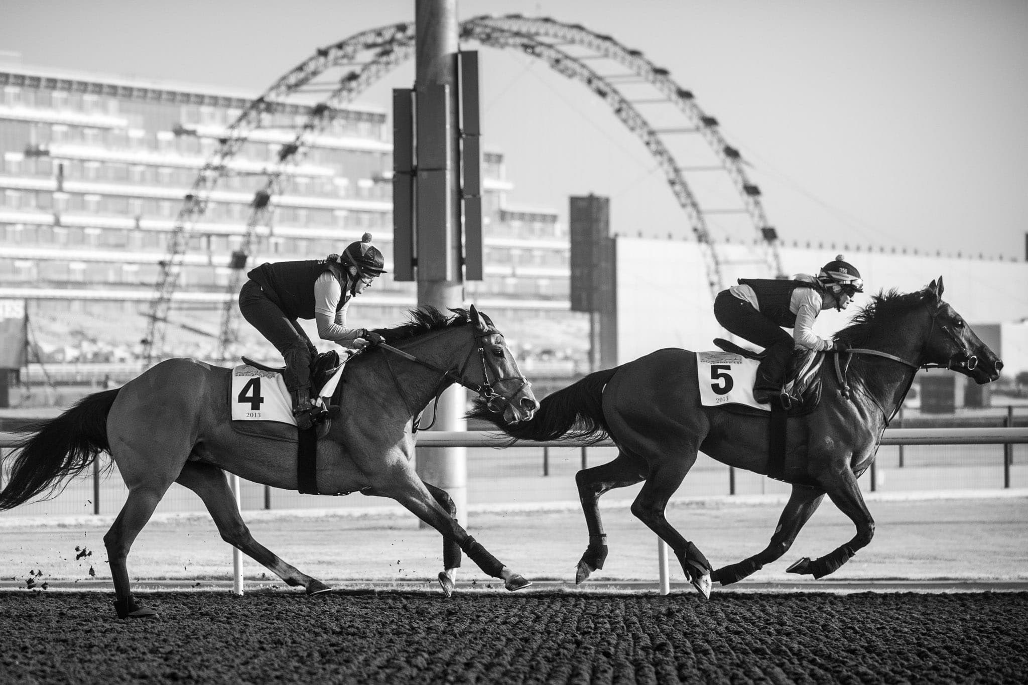 Meydan, Trackwork — Beach & Trackwork photograph by Sharon Lee Chapman