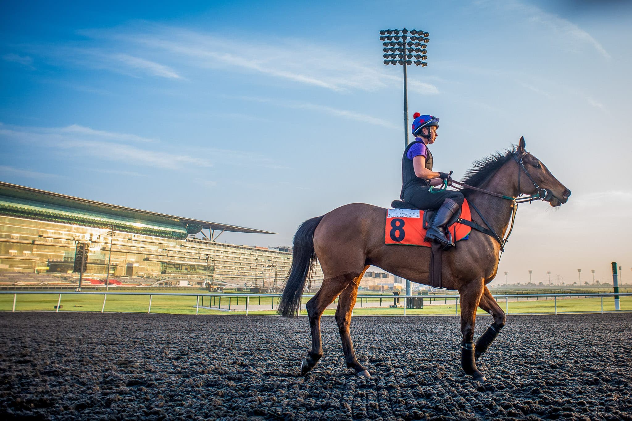 Meydan, Trackwork, Hamza — Beach & Trackwork photograph by Sharon Lee Chapman